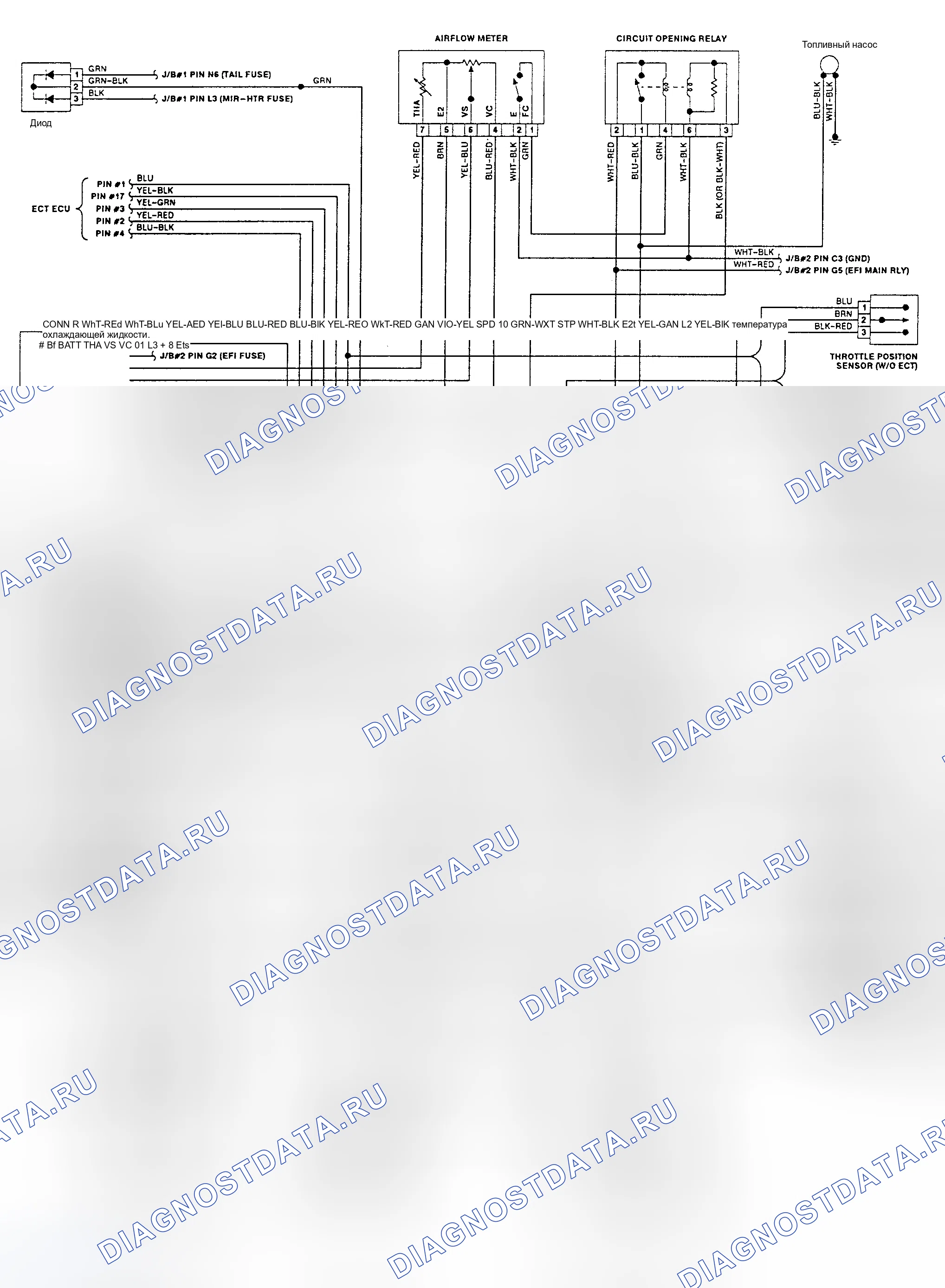 Рис. 142: 4-цилиндр схема электропроводки. Toyota Camry V20