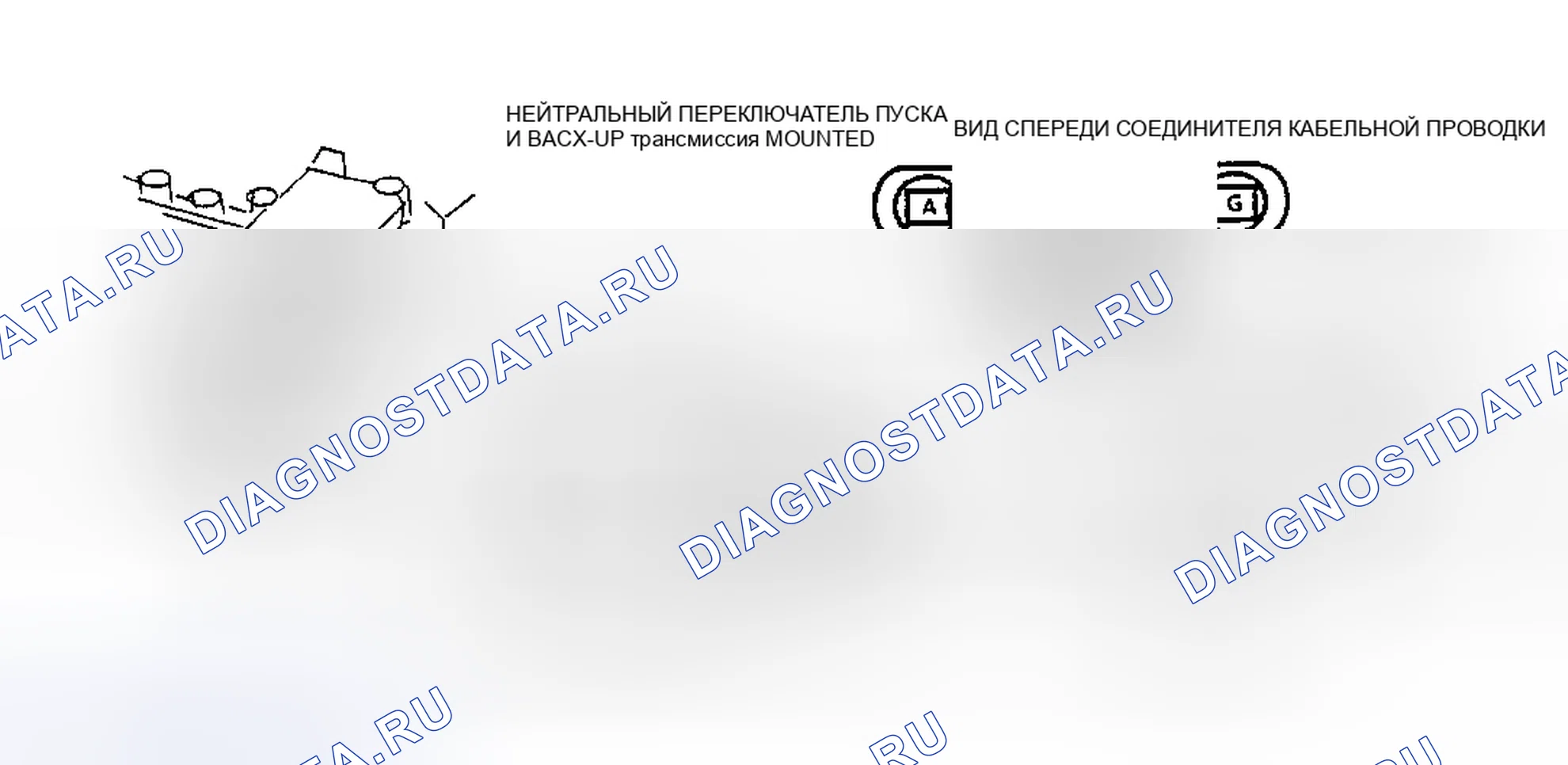 Рис. 196: ДИАГРАММА C-1A. ПЕРЕКЛЮЧАТЕЛЬ «PARK/NEUTRAL»(СТОЯНКА/НЕЙТРАЛЬ) 1,6L центральный впрыск топлива T кузов. Hyundai Tuscani I