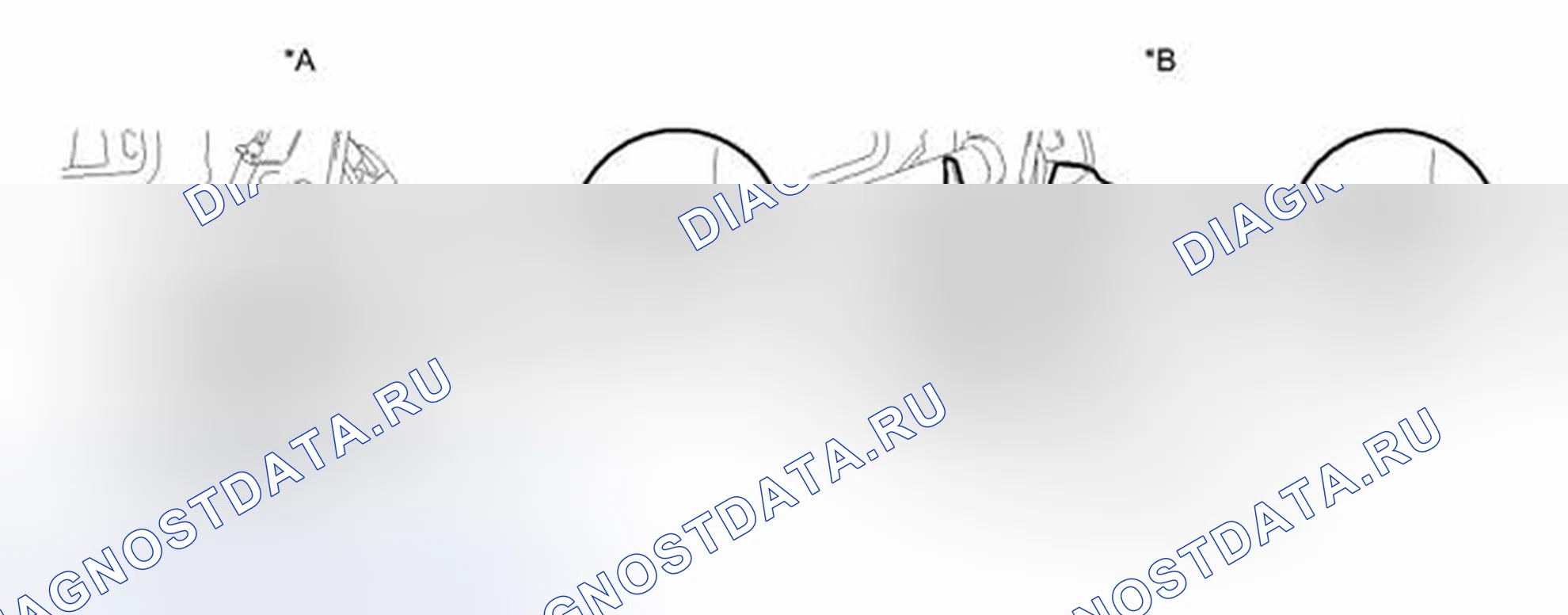 Рис. 61. Scion tC II рестайлинг