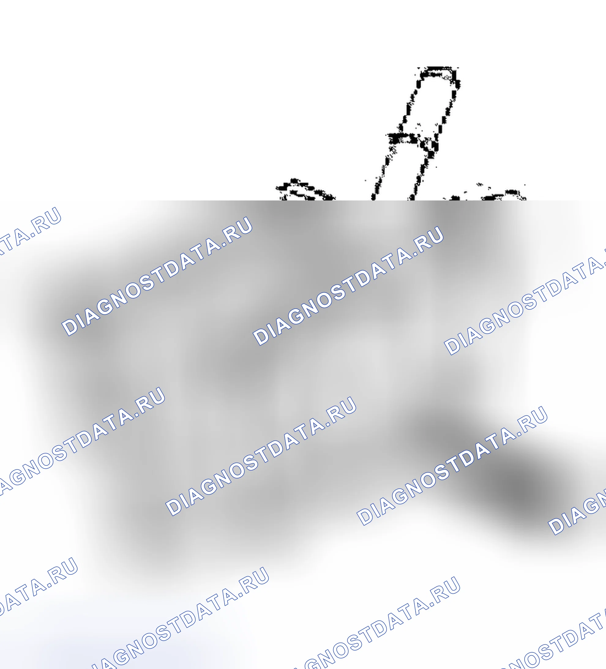 Рис. 51. Ford Focus I рестайлинг
