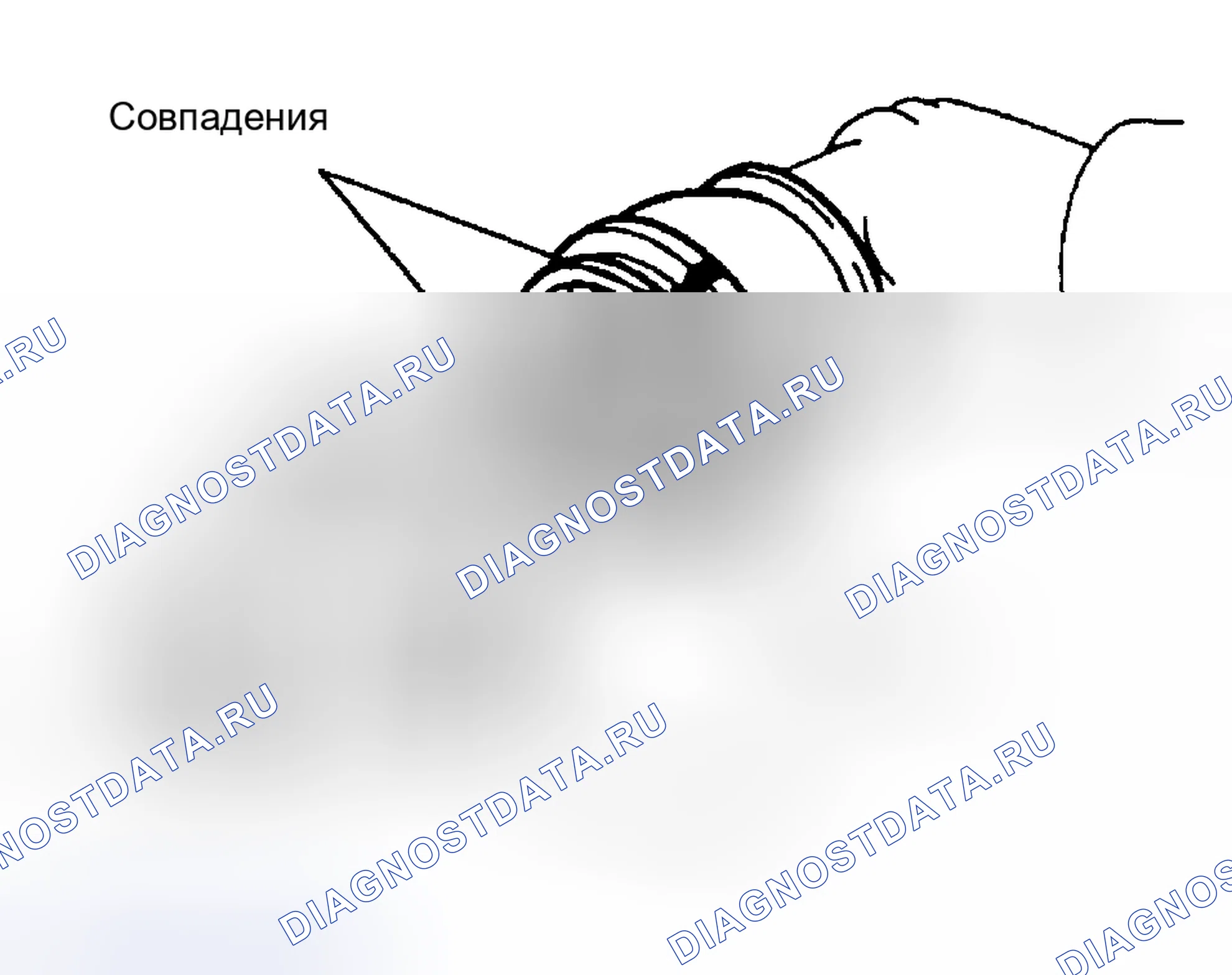 Рис. 10: Разборка. Honda Accord XI