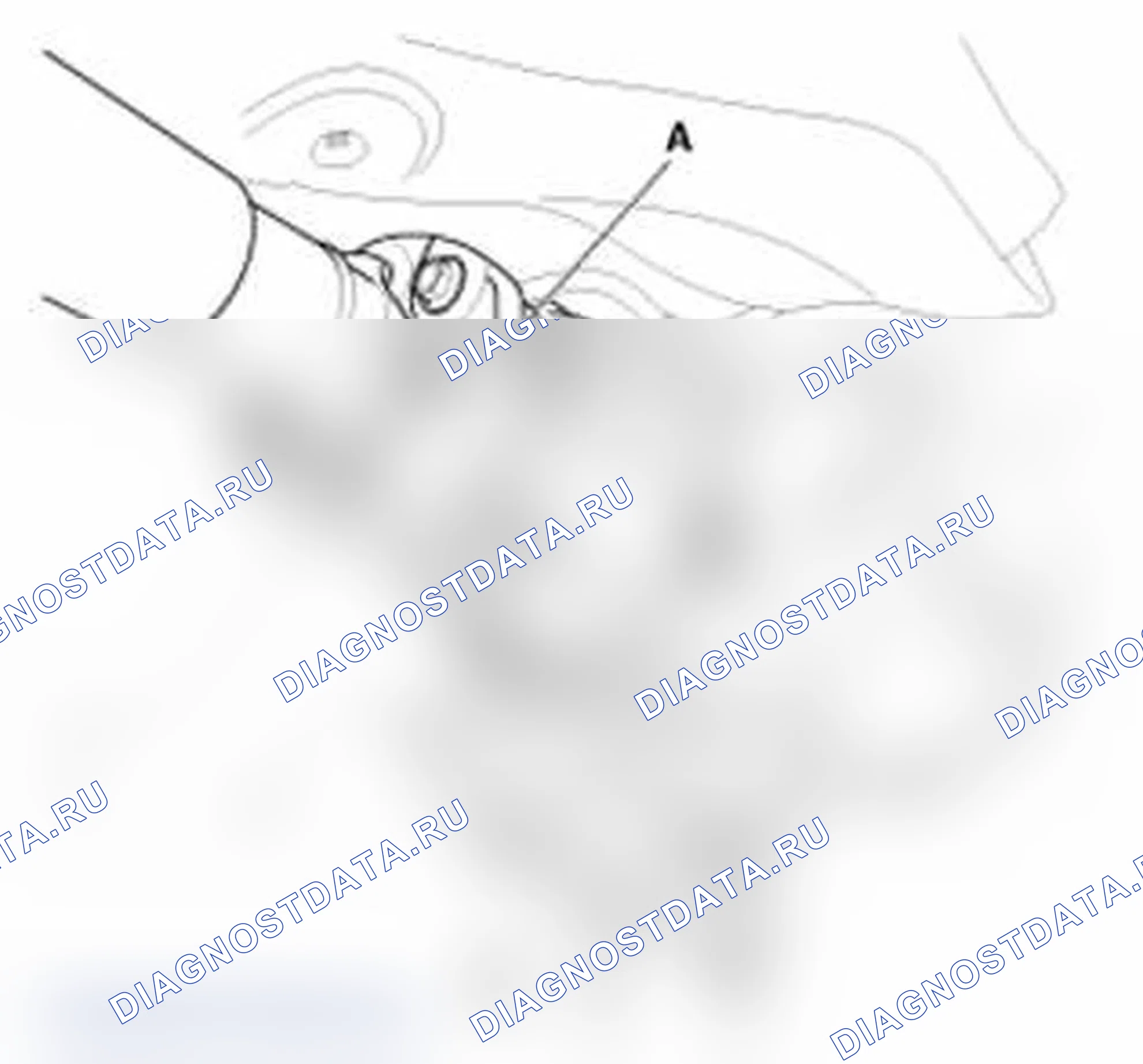 Рис. 8. Hyundai Santa Fe II рестайлинг