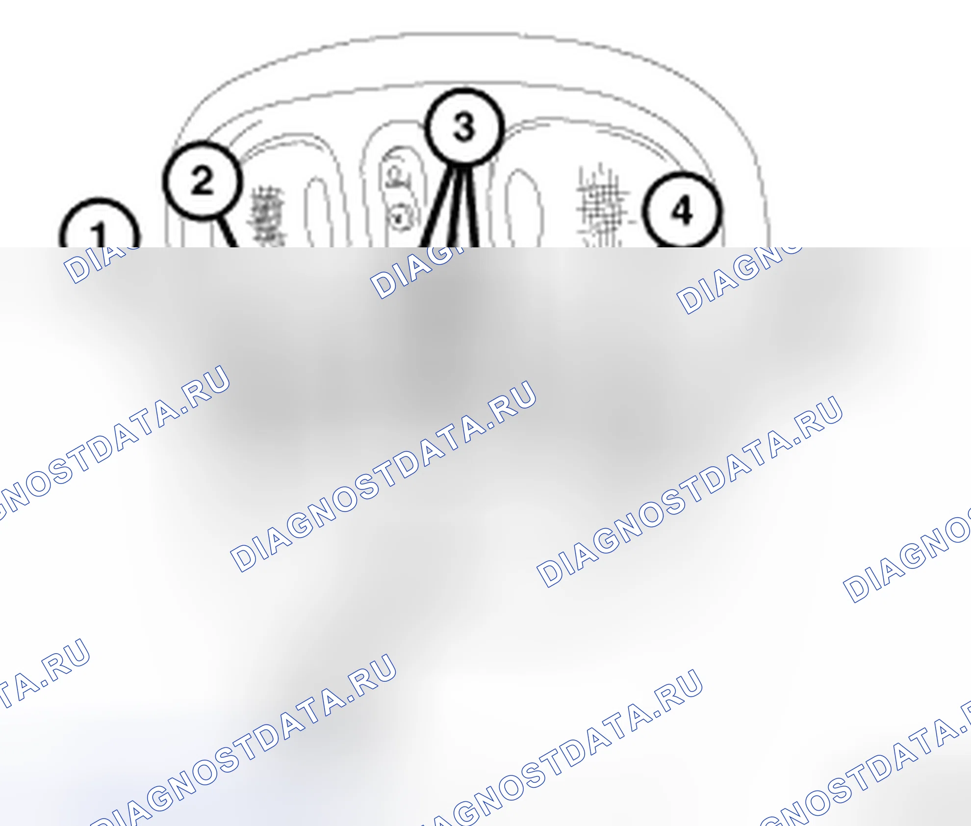Рис. 8: МИНИ-ТРИП КОМПЬЮТЕР COMPASS. Dodge Cab & Chassis R3500 HD 