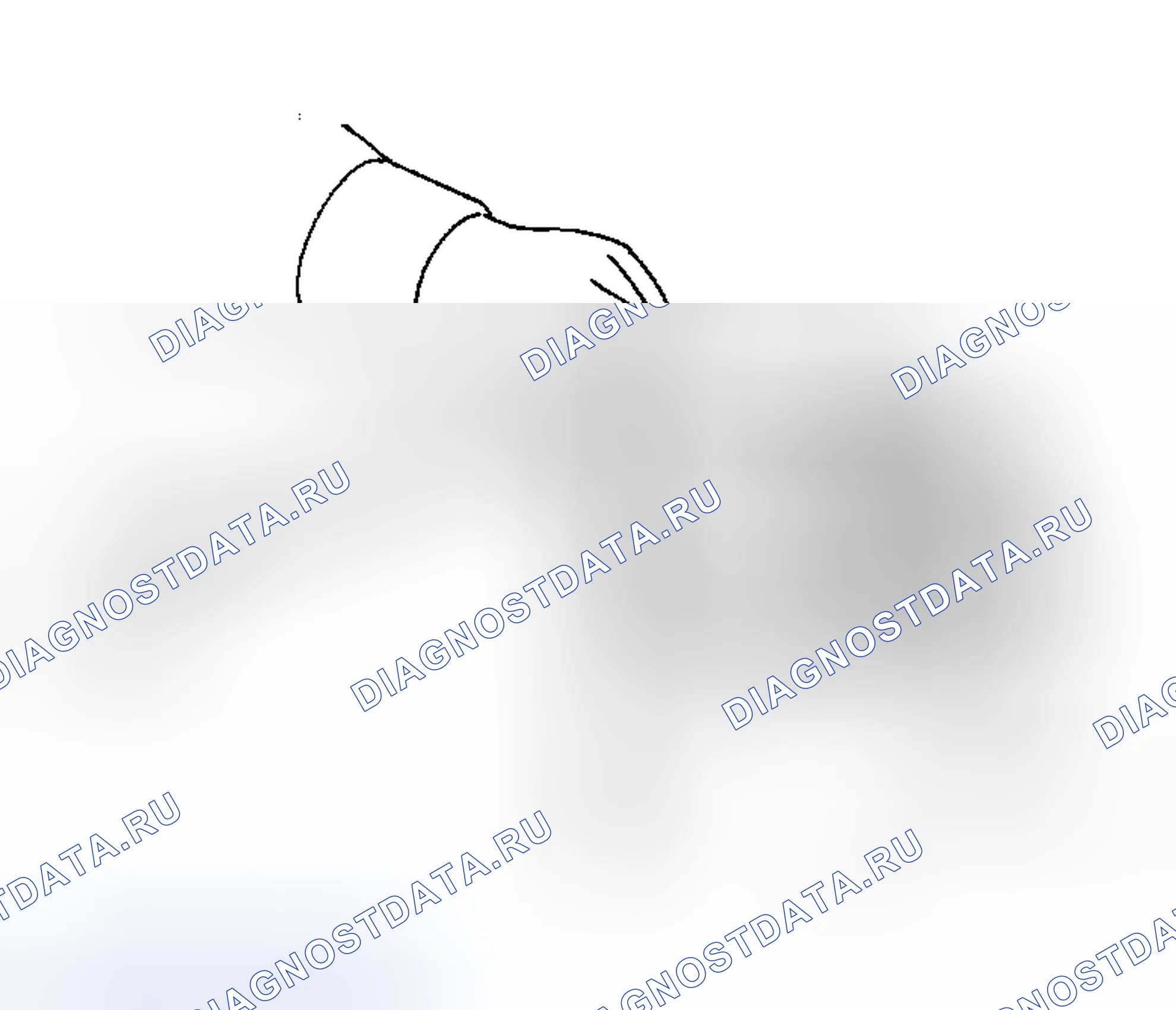 Рис. 14. Honda Logo I