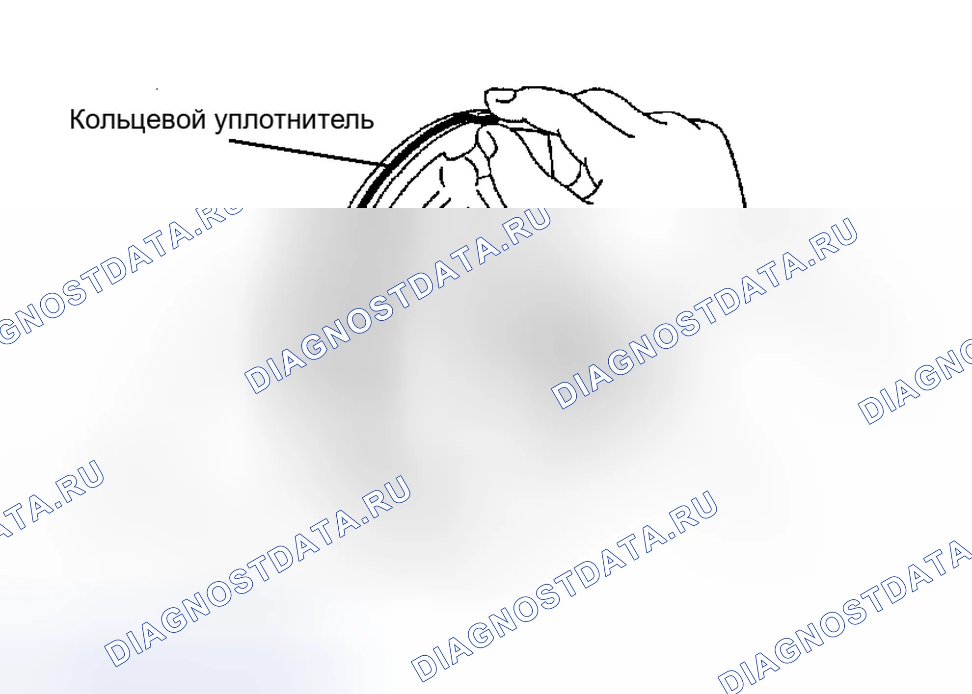 Рис. 374. Toyota Avalon XX30