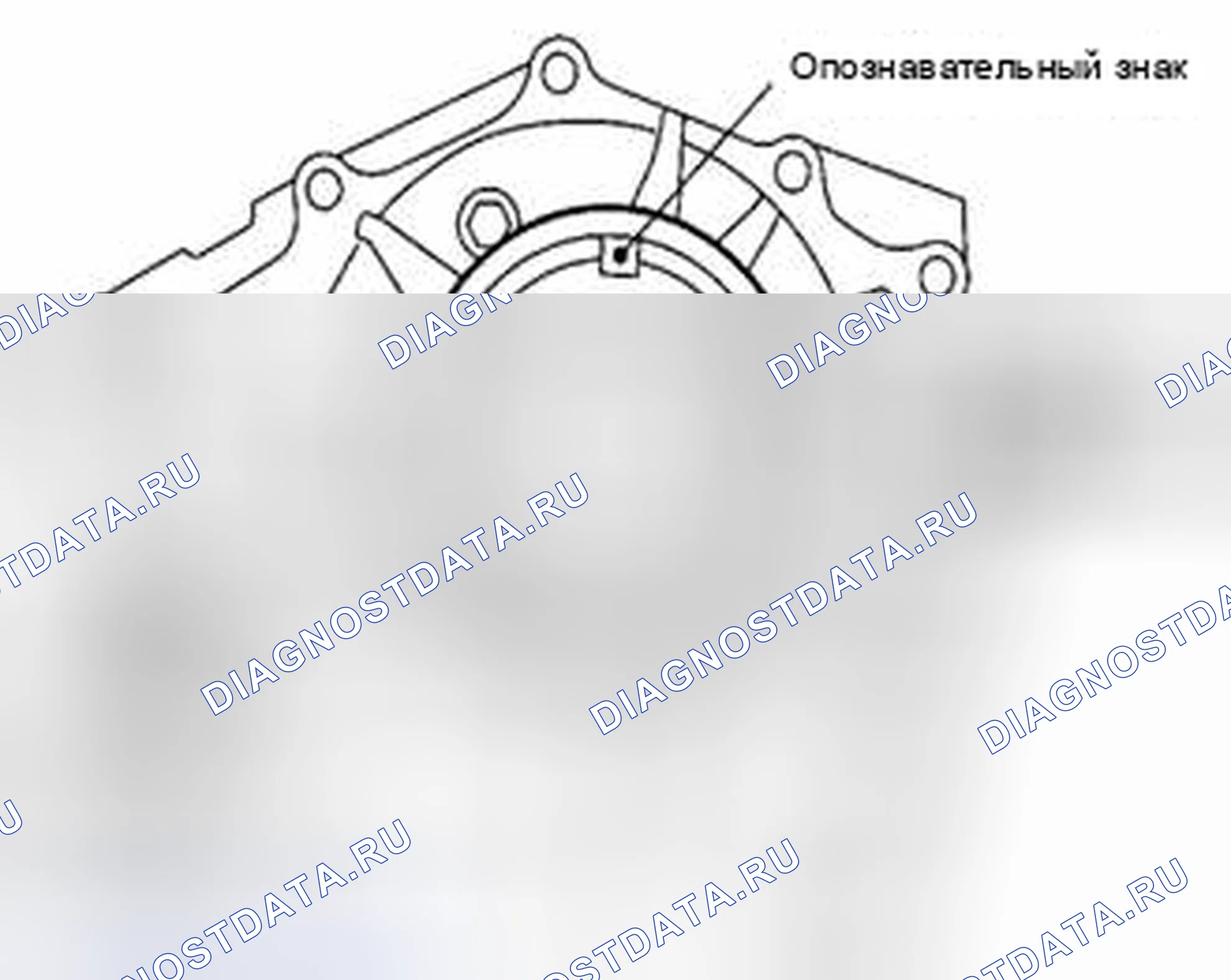 Рис. 218. Suzuki Equator I