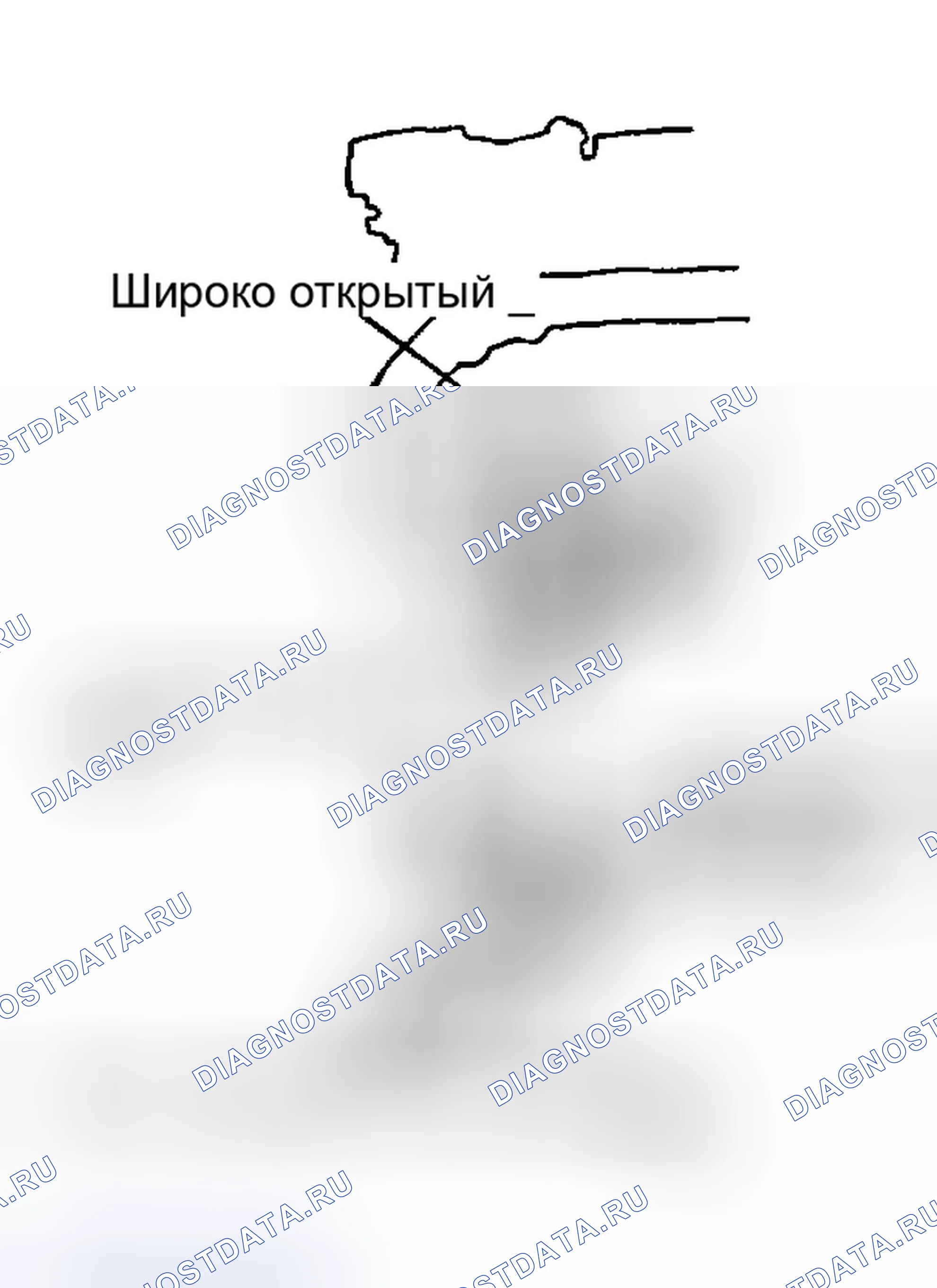 Рис. 116. Mitsubishi Sigma pre-I