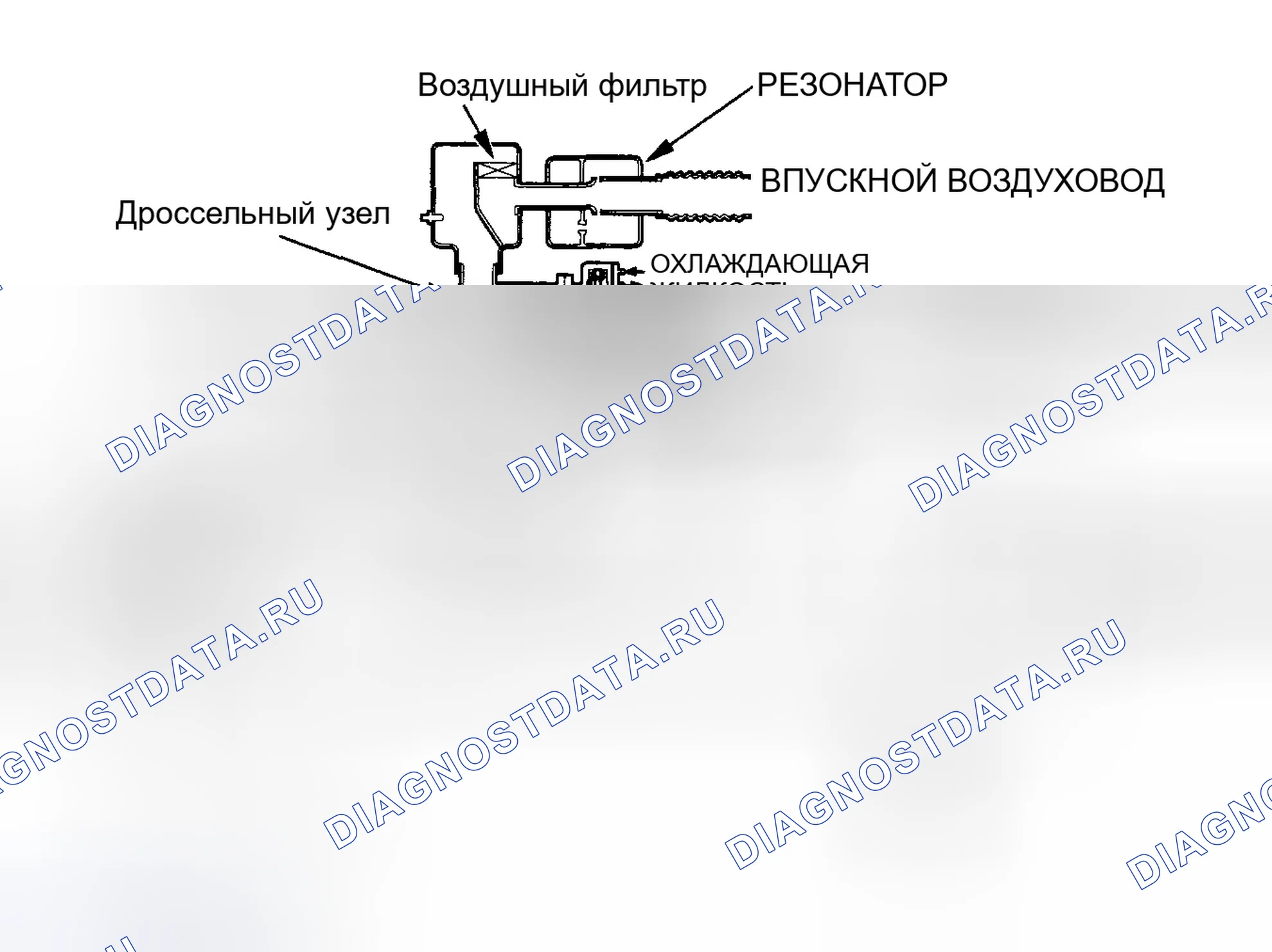Рис. 131: Схема системы управления холостым ходом. Honda Civic VII