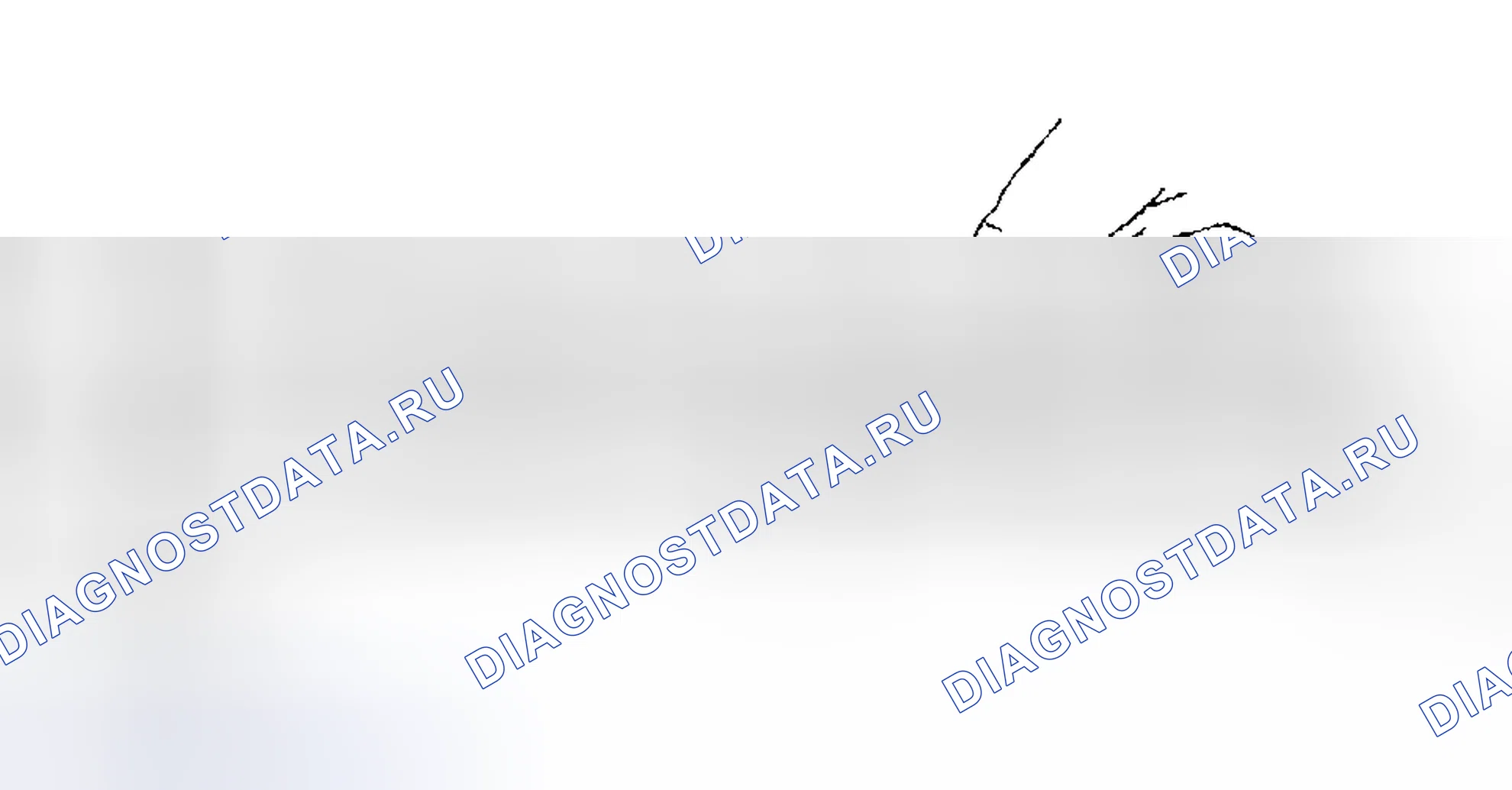 Рис. 10. Hyundai Venue I