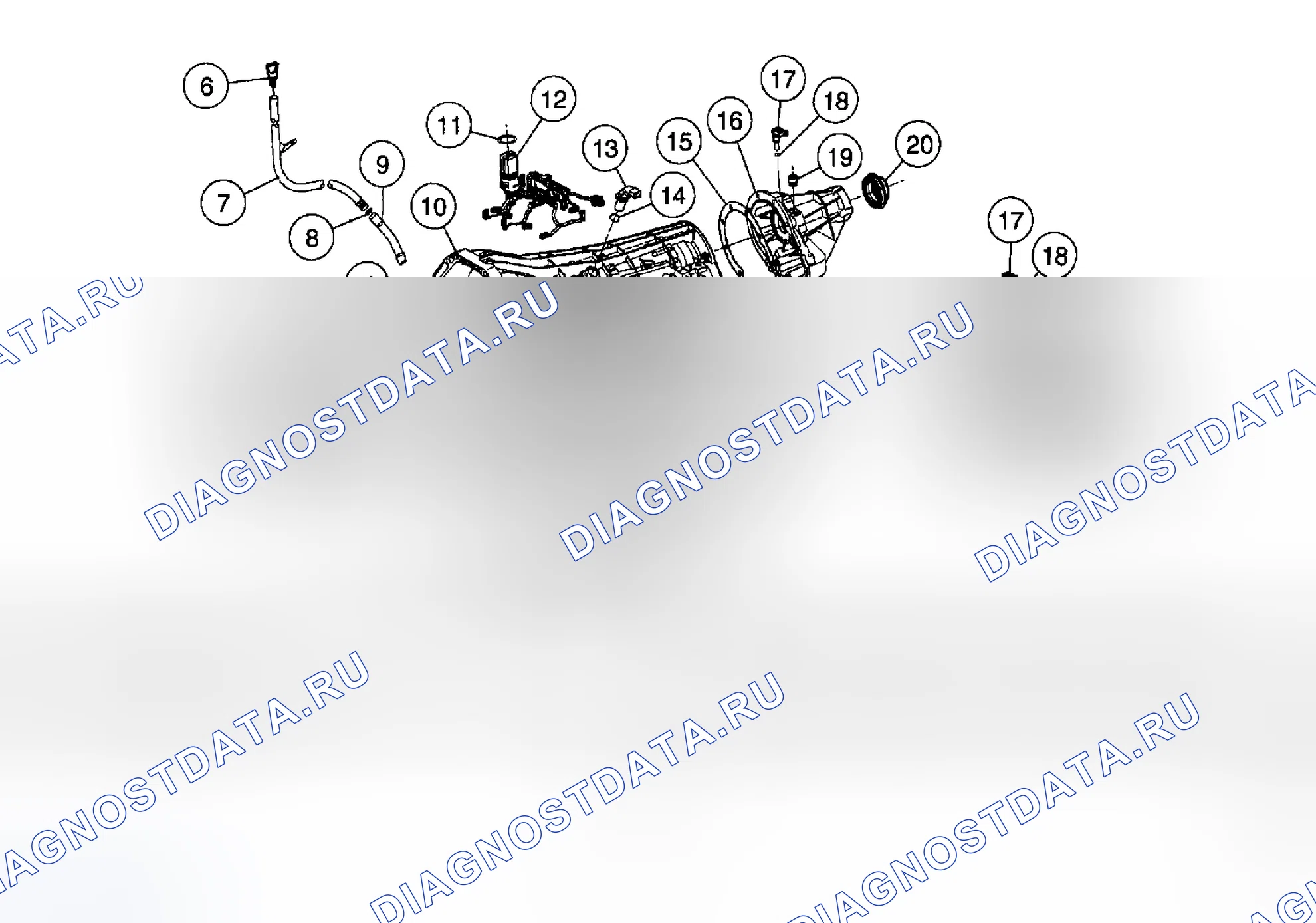 Рис. 2115: КОНТРОЛЬ УТЕЧКИ. Ford Pickup F250 Super Duty I