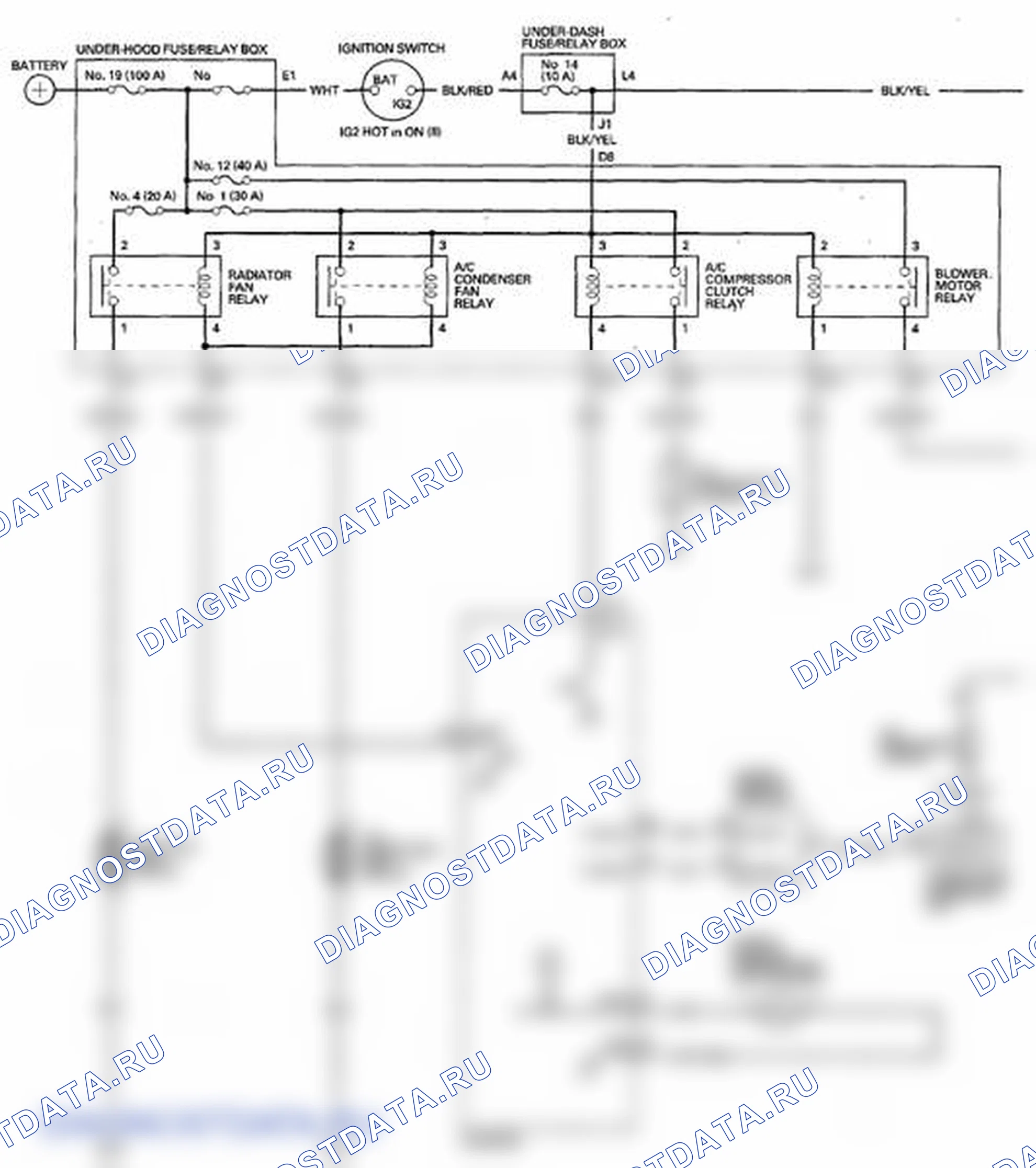 Рис. 15: Принципиальная схема. Honda Element YH2 рестайлинг 2