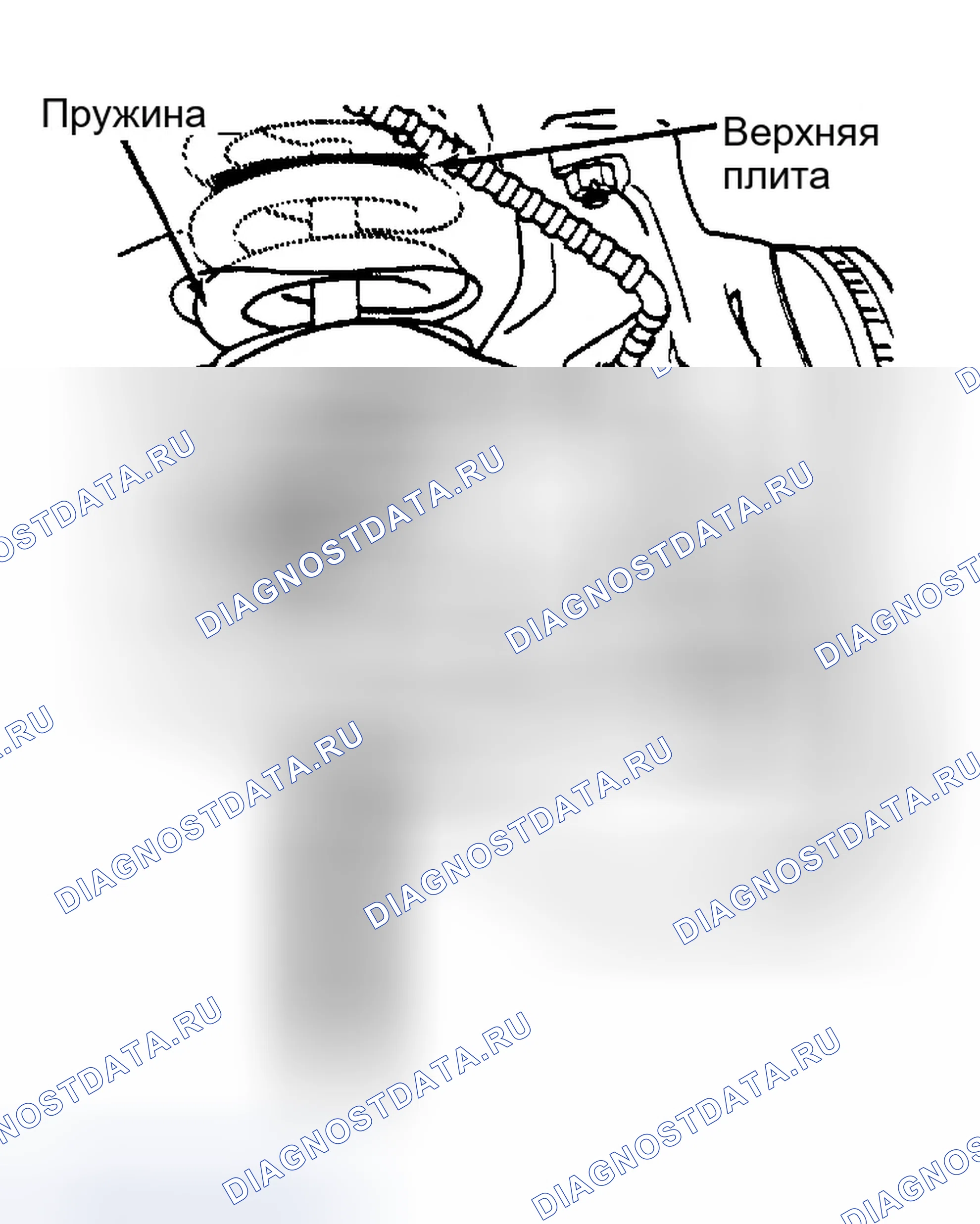Рис. 2. Ford Crown Victoria I