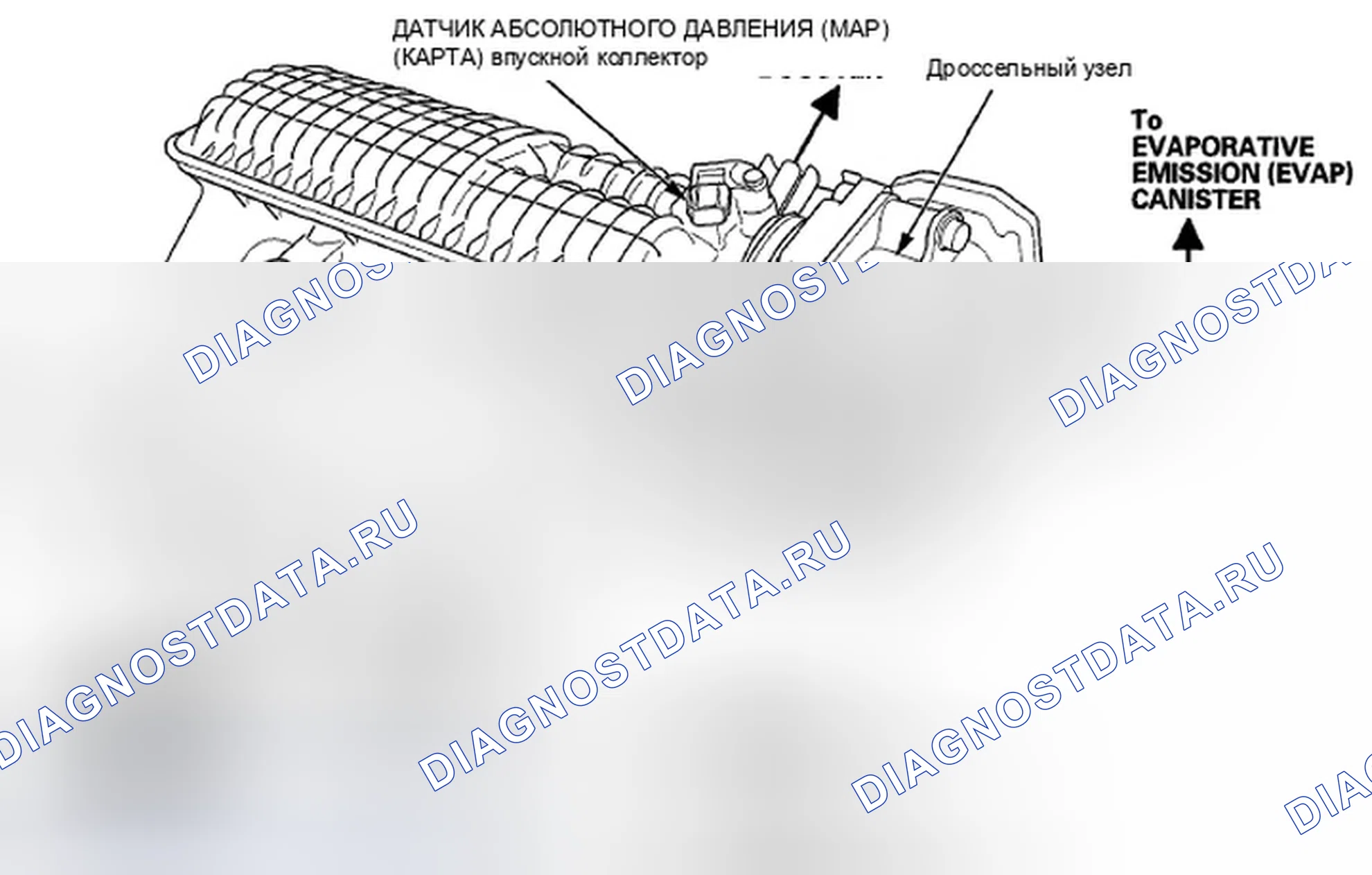 Рис. 91: Трассировка вакуумного шланга. Honda Insight ZE2