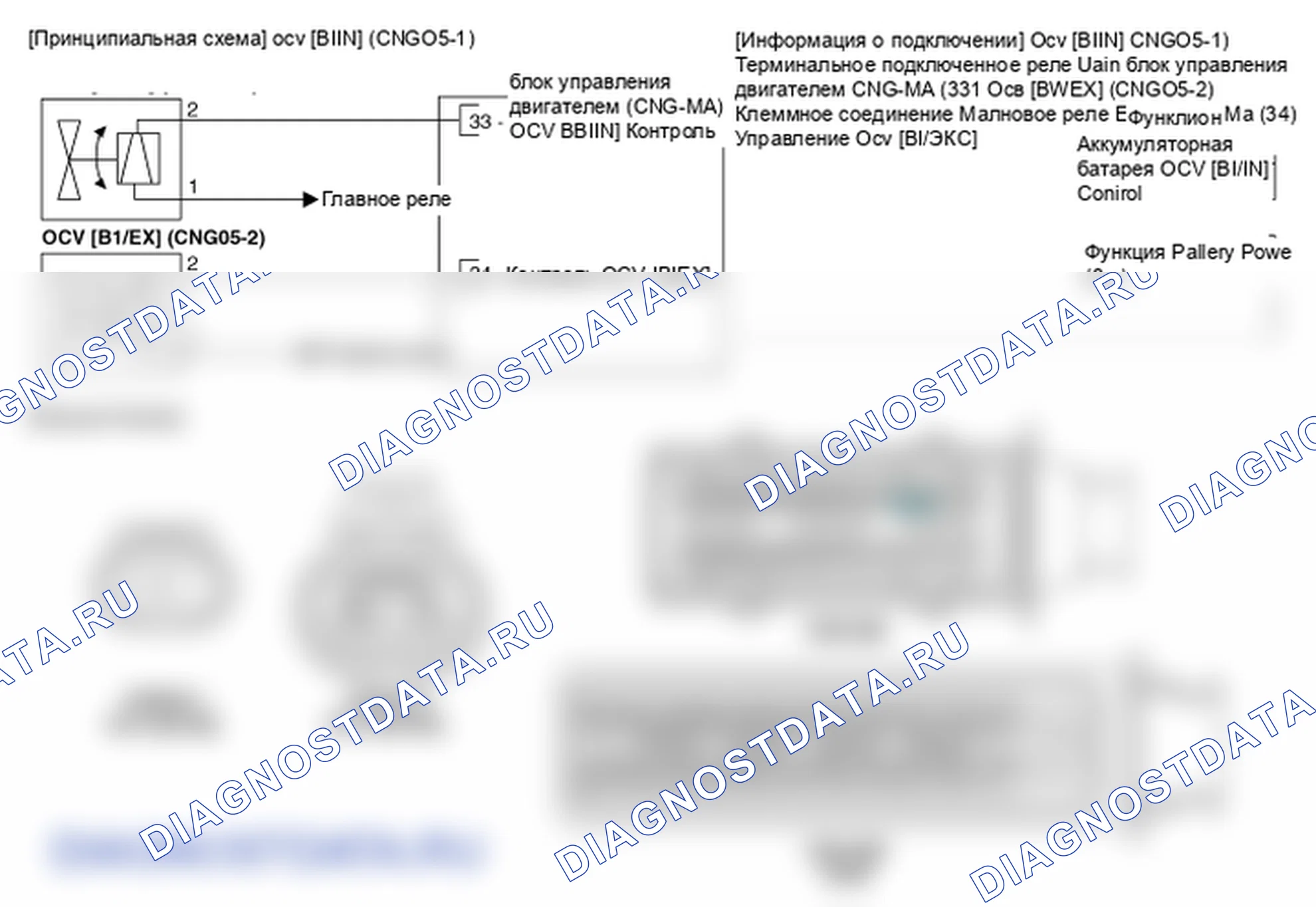Фрагмент электросхемы: Масляный регулирующий клапан CVVT (OCV). Hyundai Elantra V рестайлинг