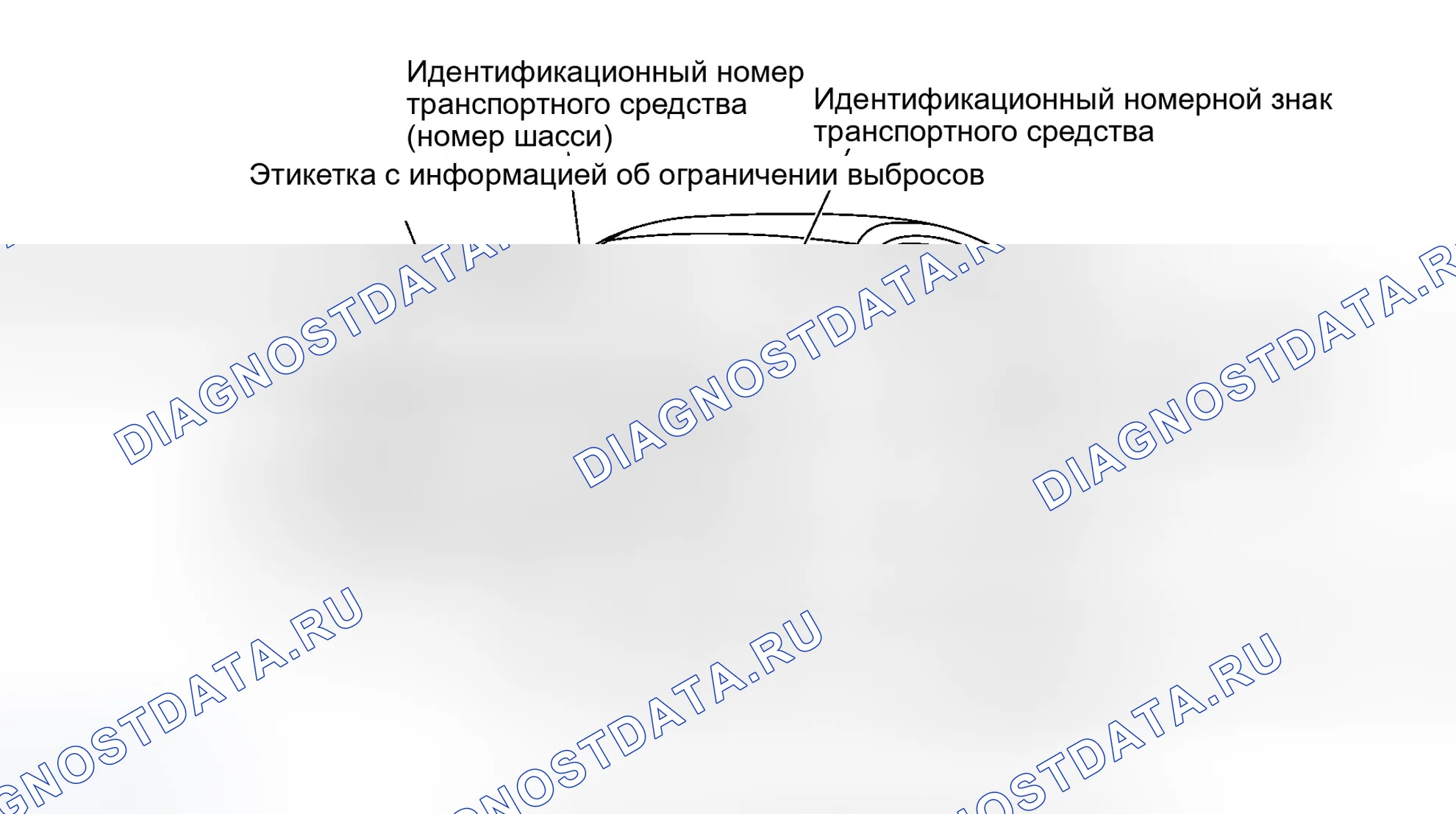Рис. 310: ИДЕНТИФИКАЦИОННЫЙ НОМЕР. Infiniti G35 III