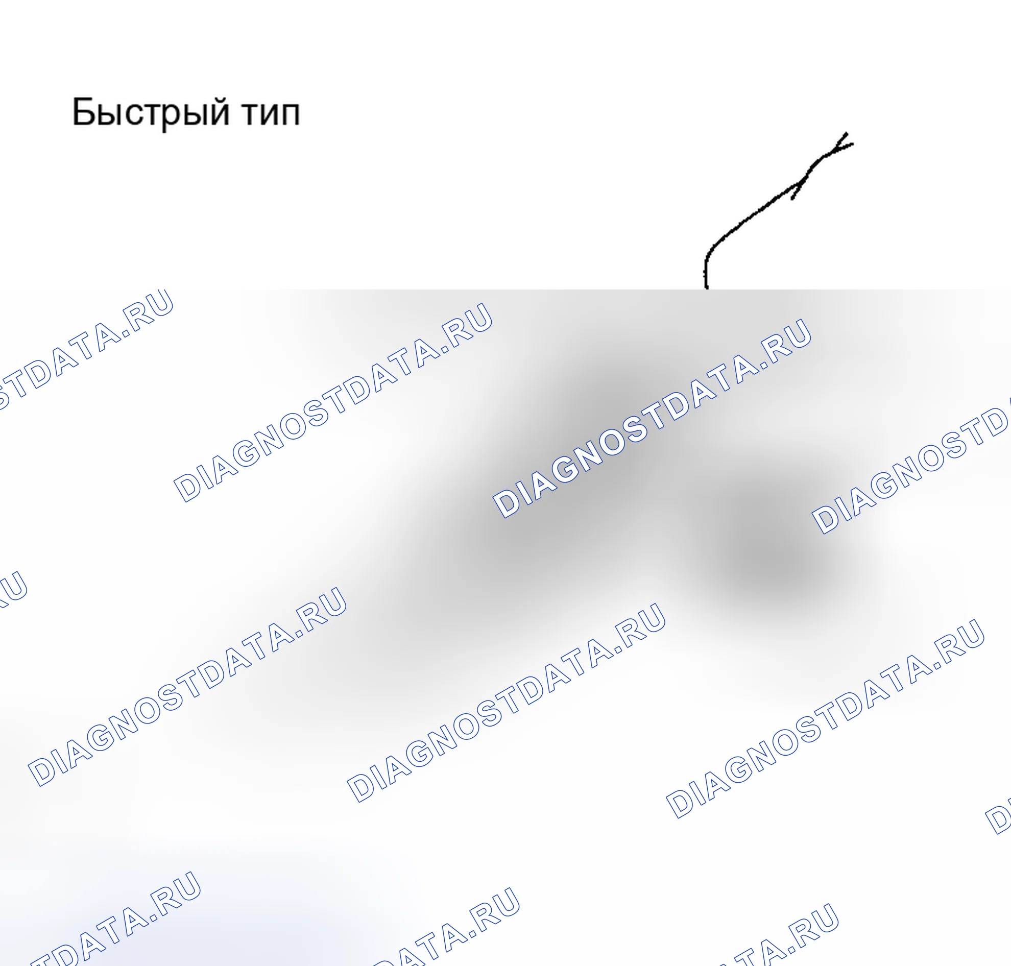Рис. 124. Toyota RAV4 II рестайлинг