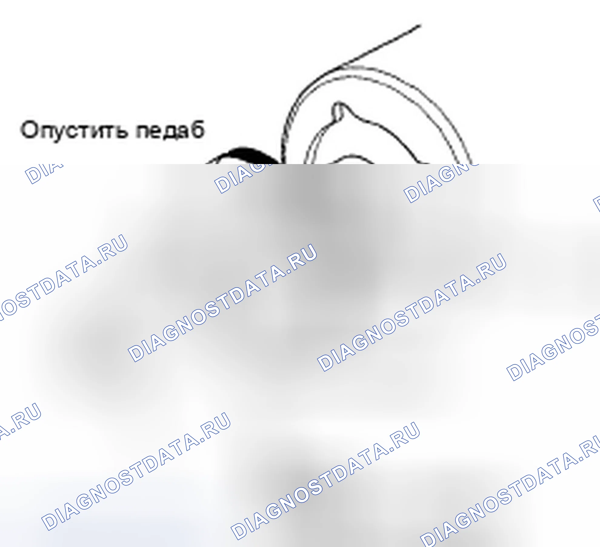 Рис. 73. Honda Element YH2 рестайлинг 2