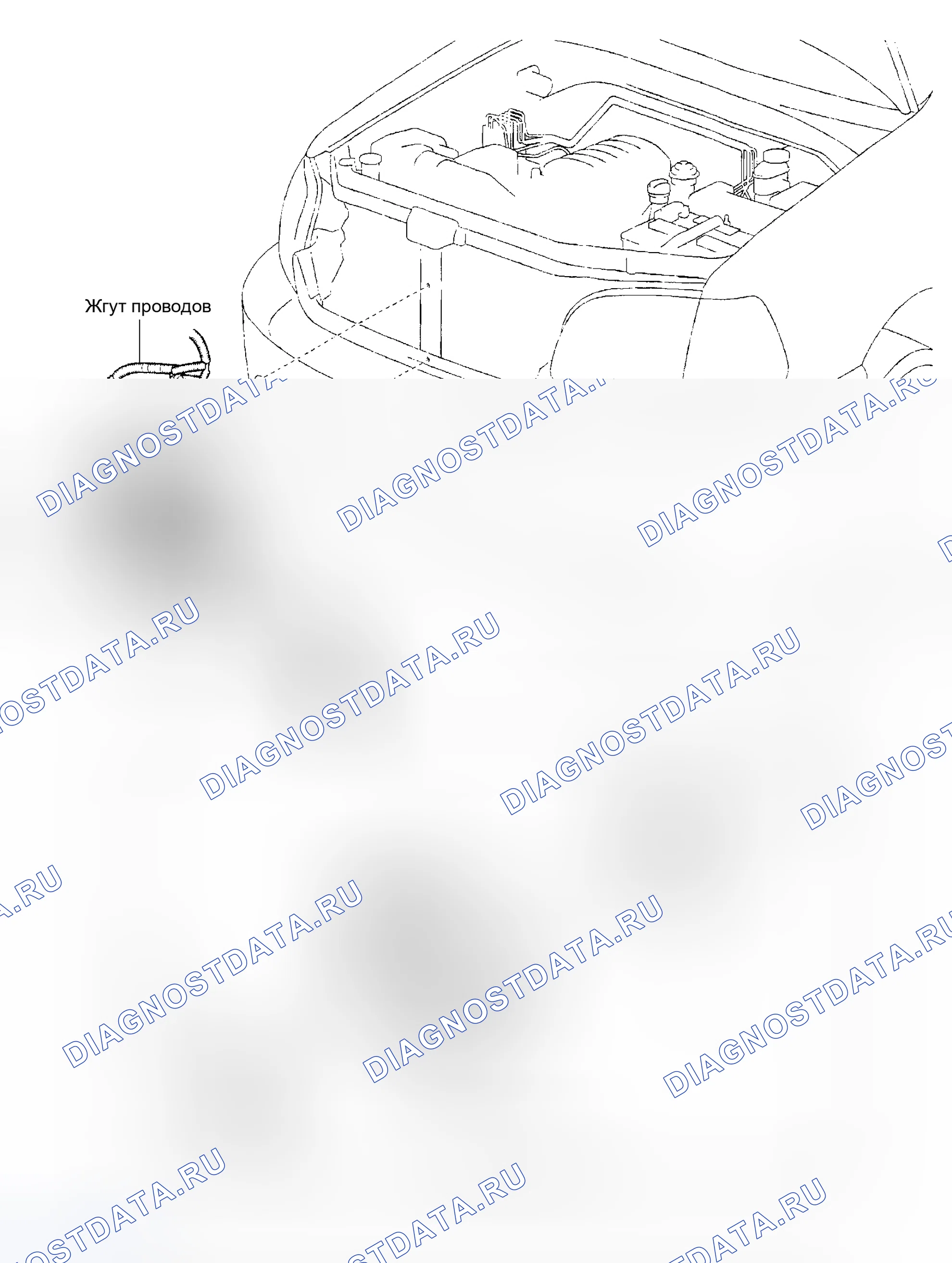 Рис. 141: КОМПОНЕНТЫ. Toyota Sequoia I