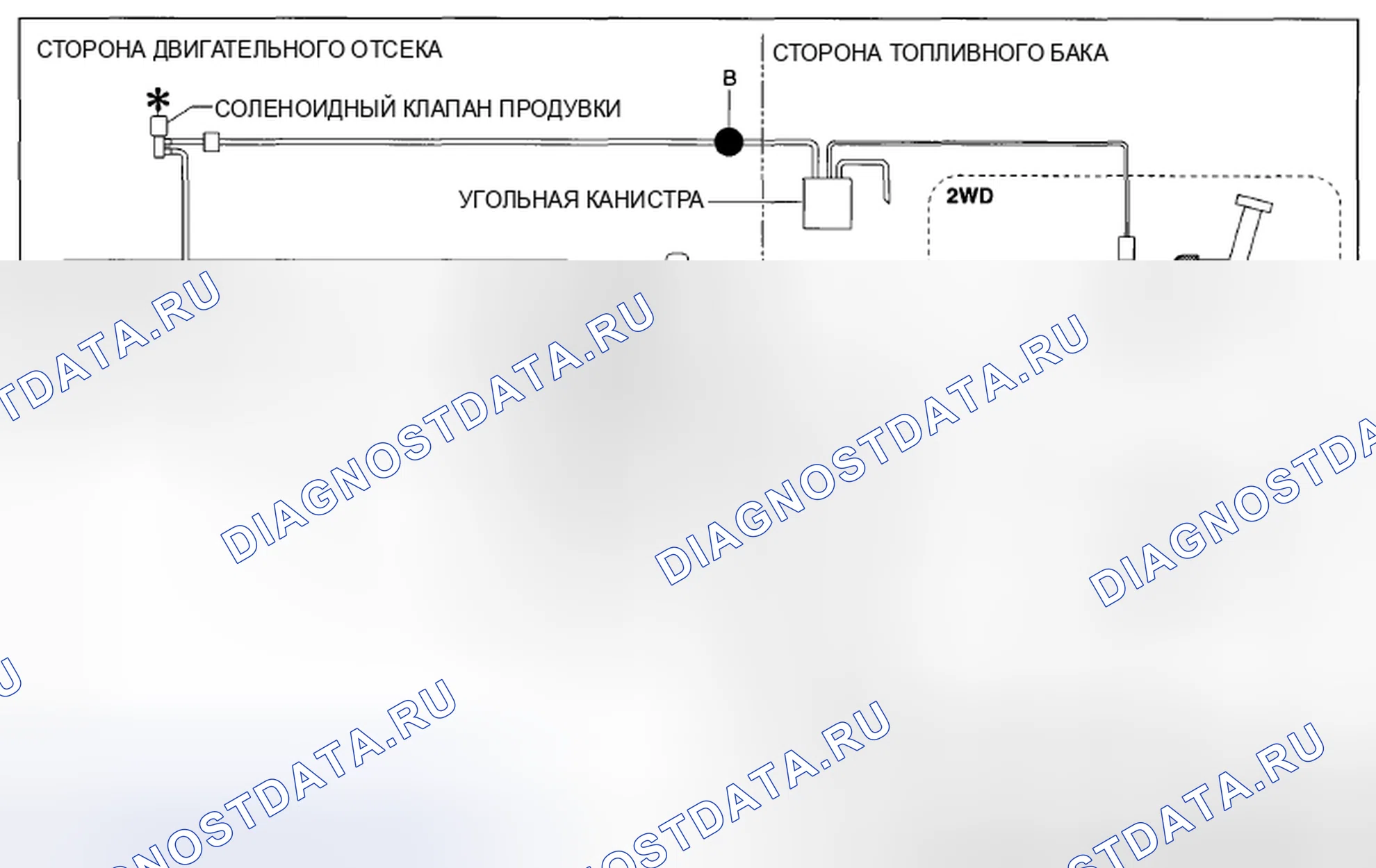 Рис. 63: Определение типа и положения быстроразъемного соединителя (за исключением США и Канады). Mazda CX-5 I