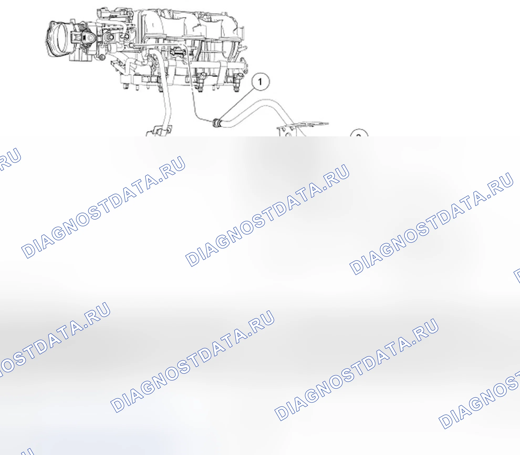 Рис. 78: Разнесенный вид топливопроводов и топливного фильтра - 4.0L SOHC Передние топливные трубки. Ford Mustang V