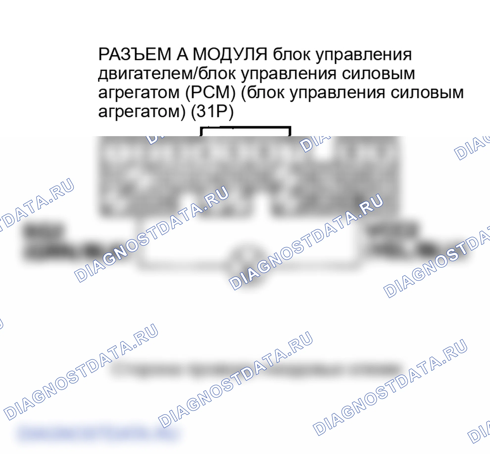 Рис. 79. Honda Element YH2