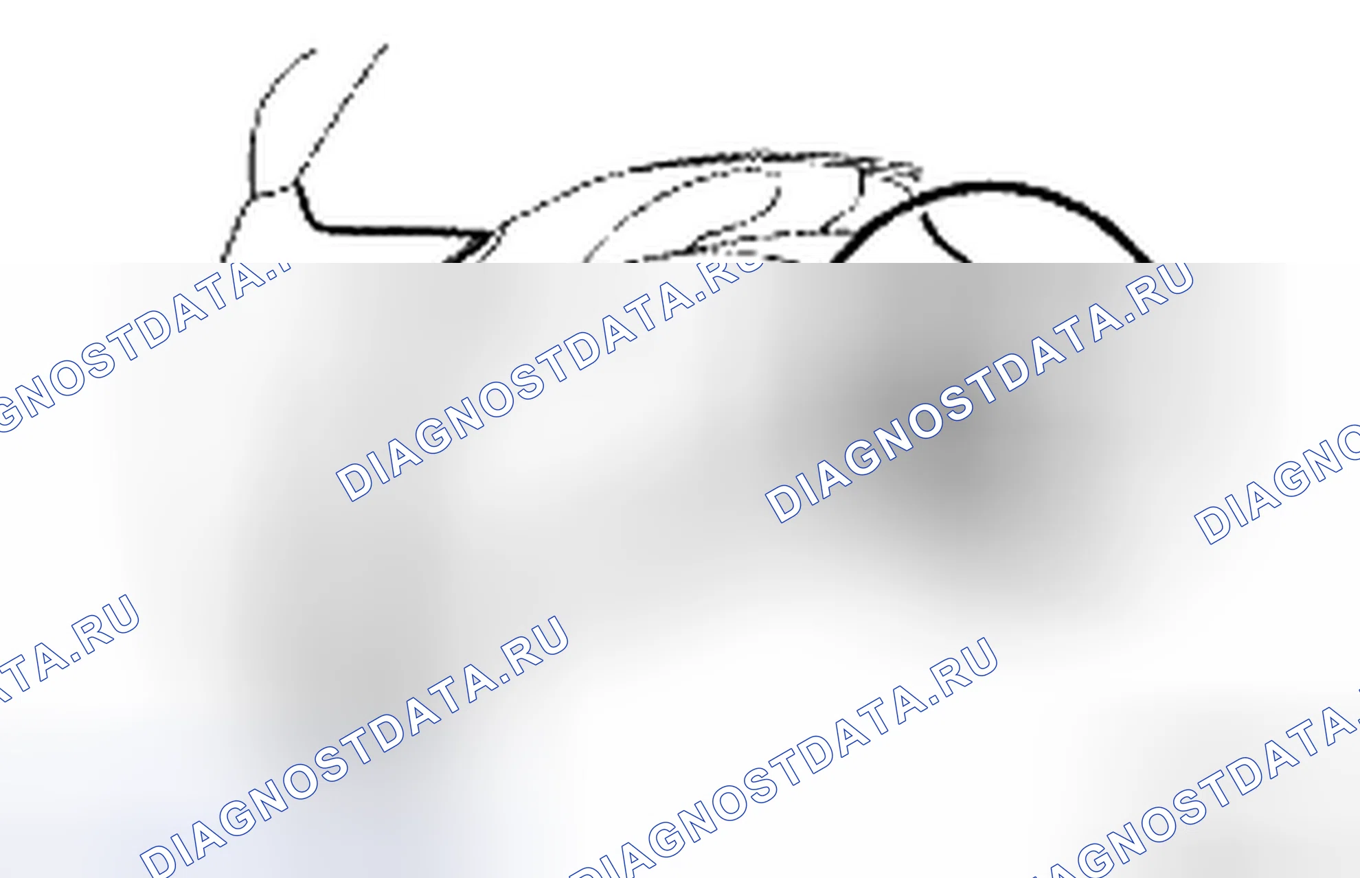 Рис. 46. Toyota Camry XV40