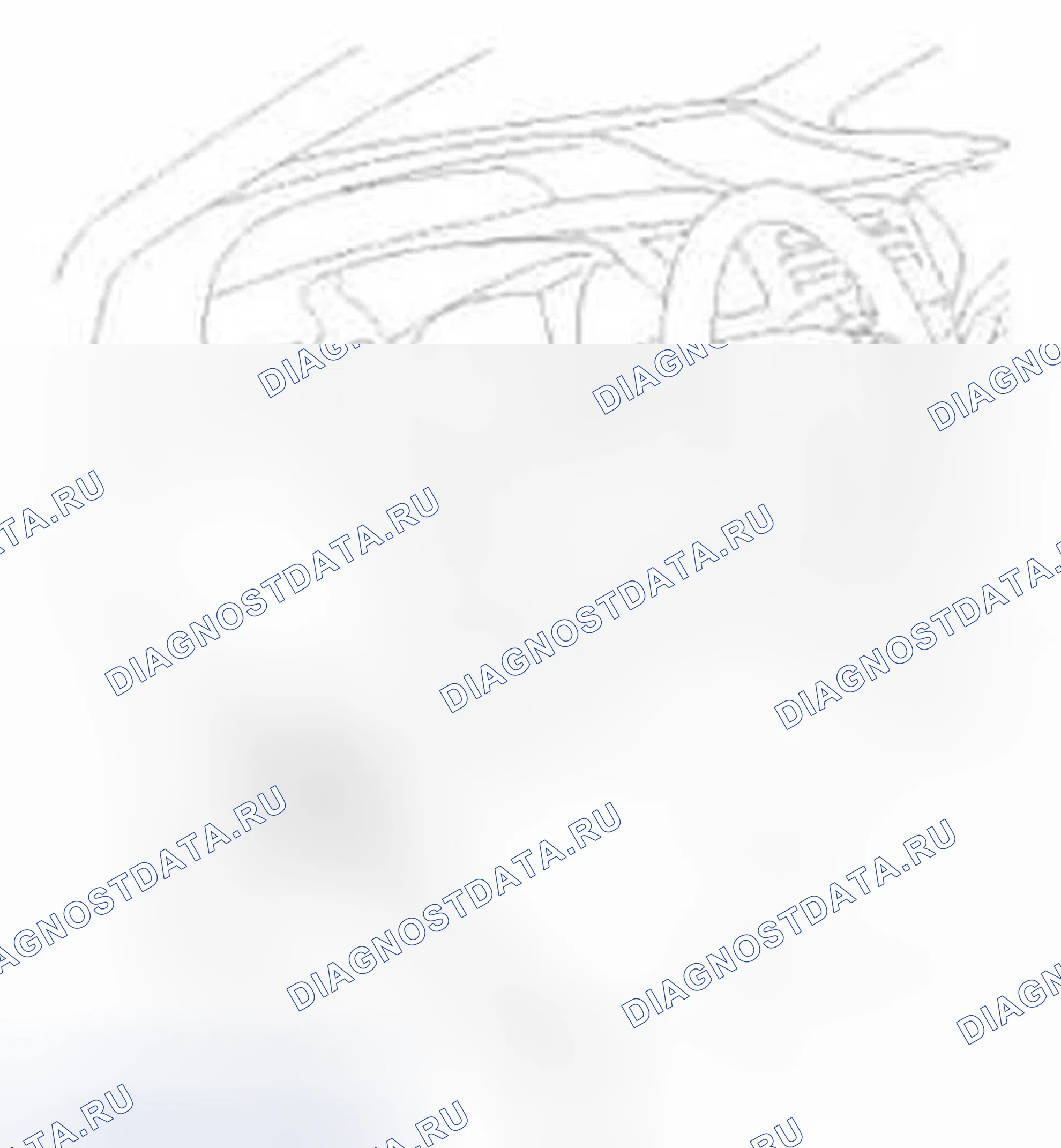 Рис. 1005. Honda Civic IX