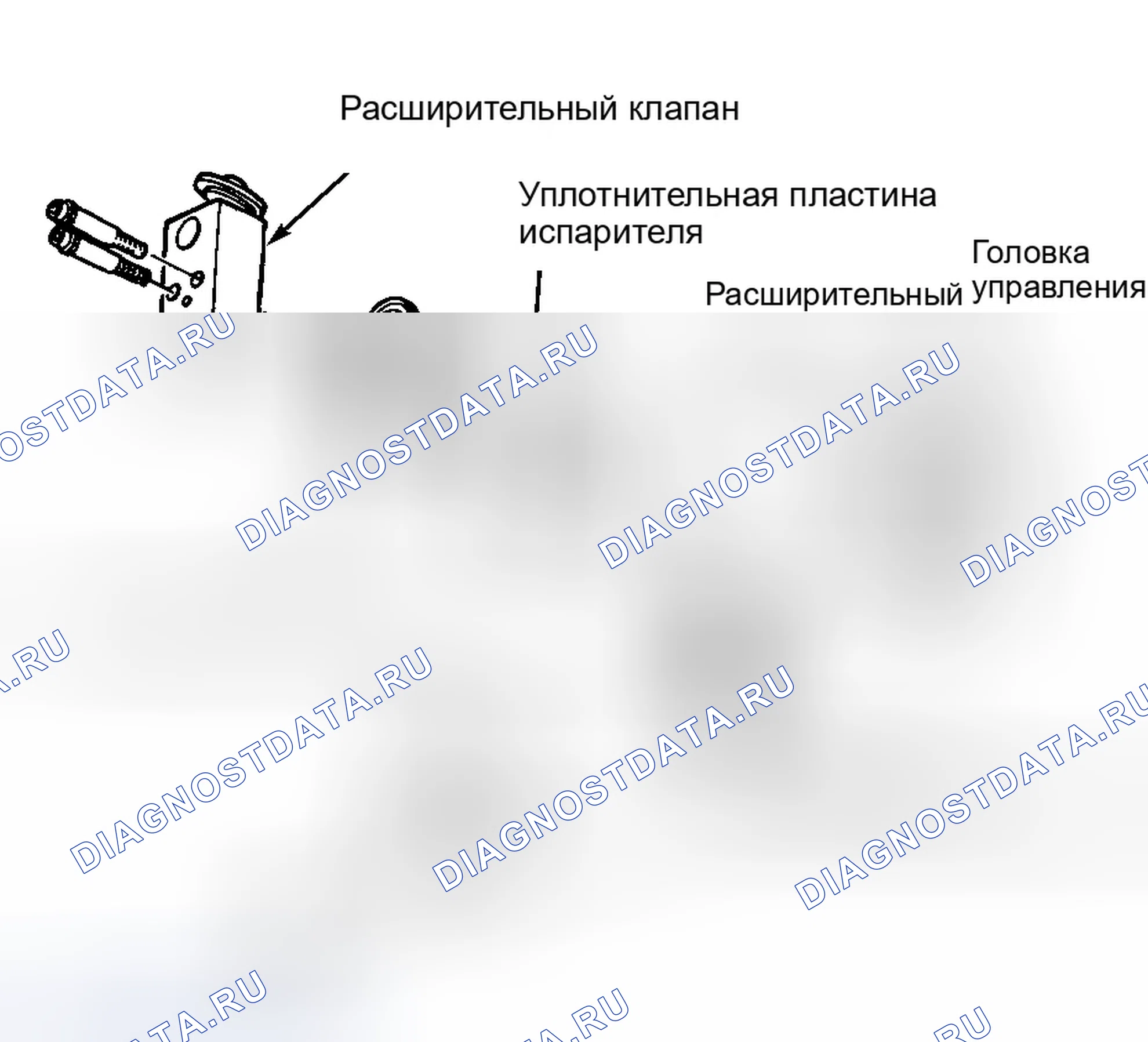 Рис. 12. Dodge Dakota WS 