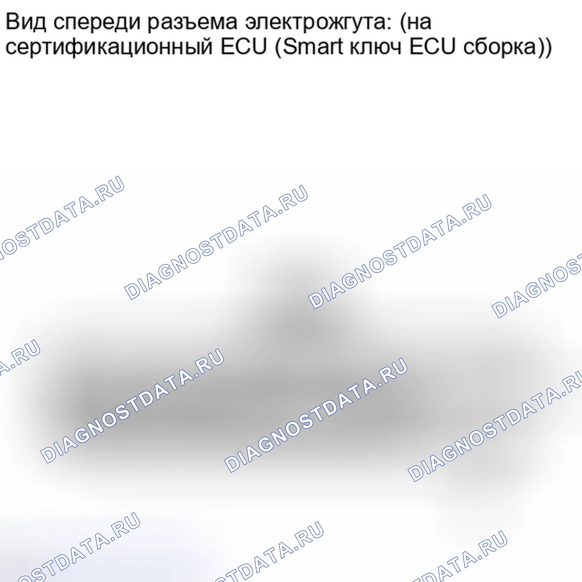 Рис. 304. Lexus IS F I