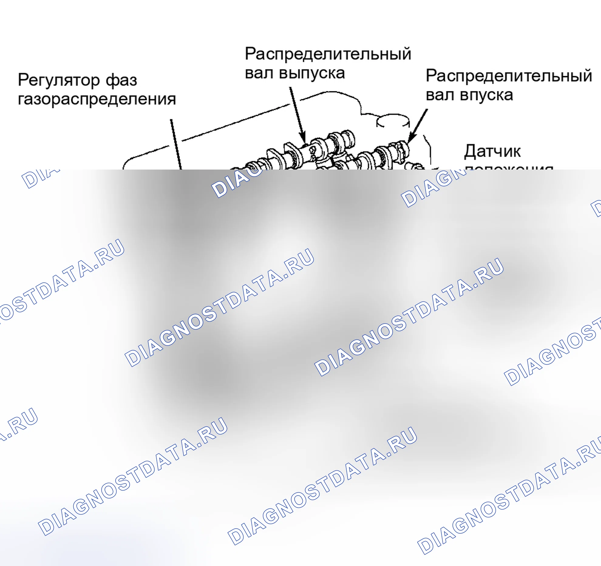 Рис. 39: Celica, Corolla и ECHO. Toyota Land Cruiser 100