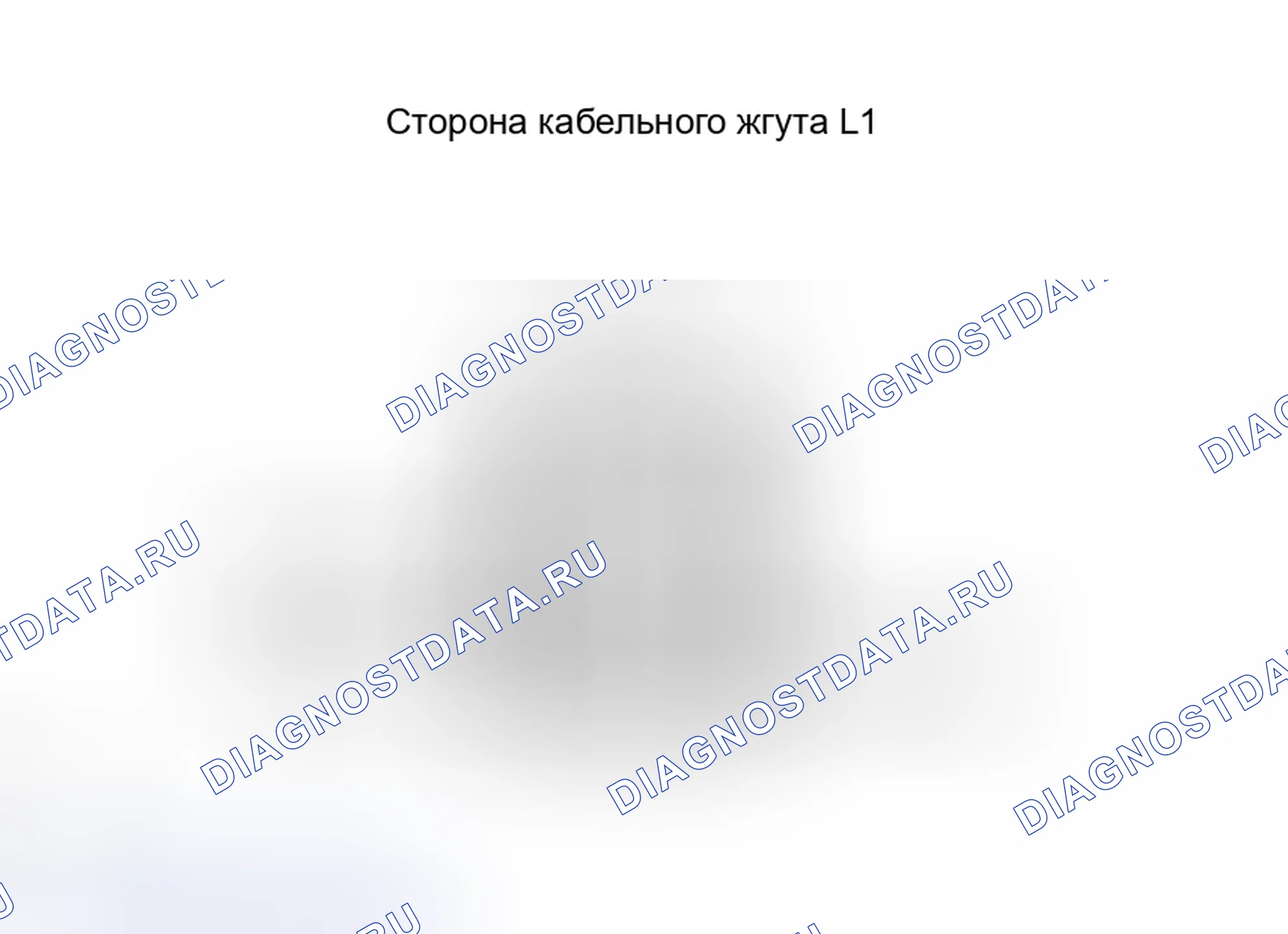 Рис. 167: ОСМОТР ТРАНСПОРТНОГО СРЕДСТВА. Haval H8 I