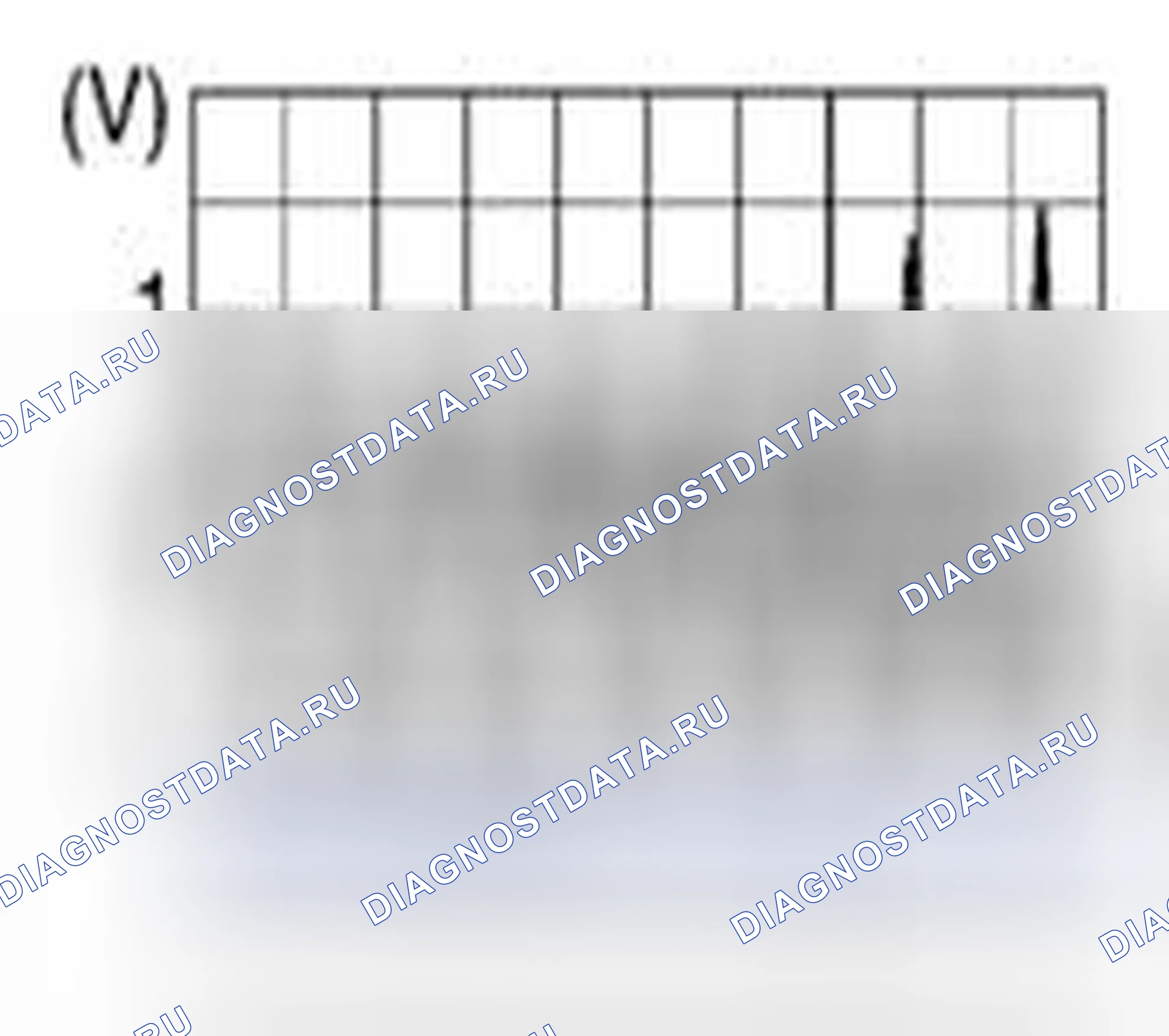 Рис. 163: ФИЗИЧЕСКИЕ ВЕЛИЧИНЫ. Suzuki Equator I