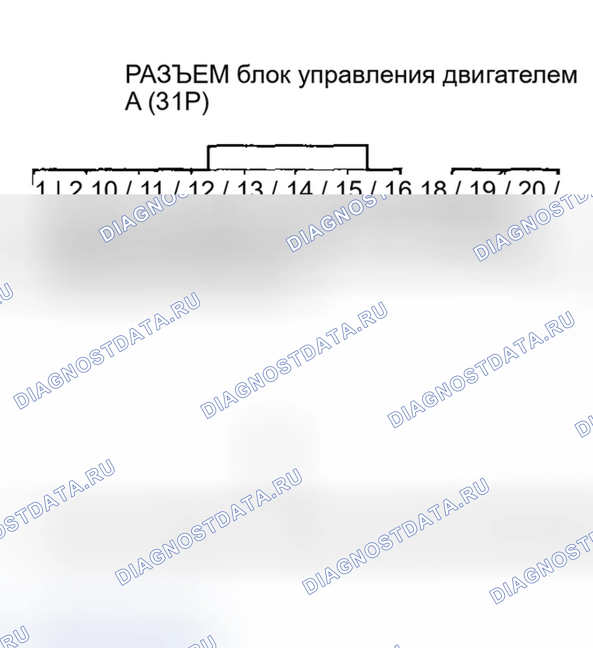 Рис. 506. Honda Civic VII рестайлинг