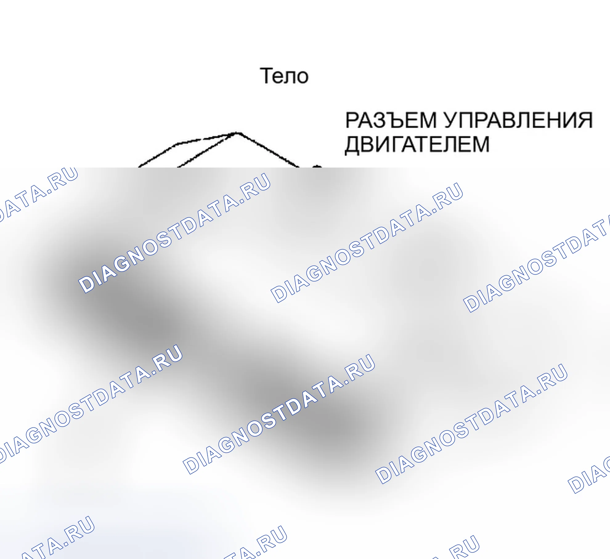 Рис. 368. Dodge Dakota 