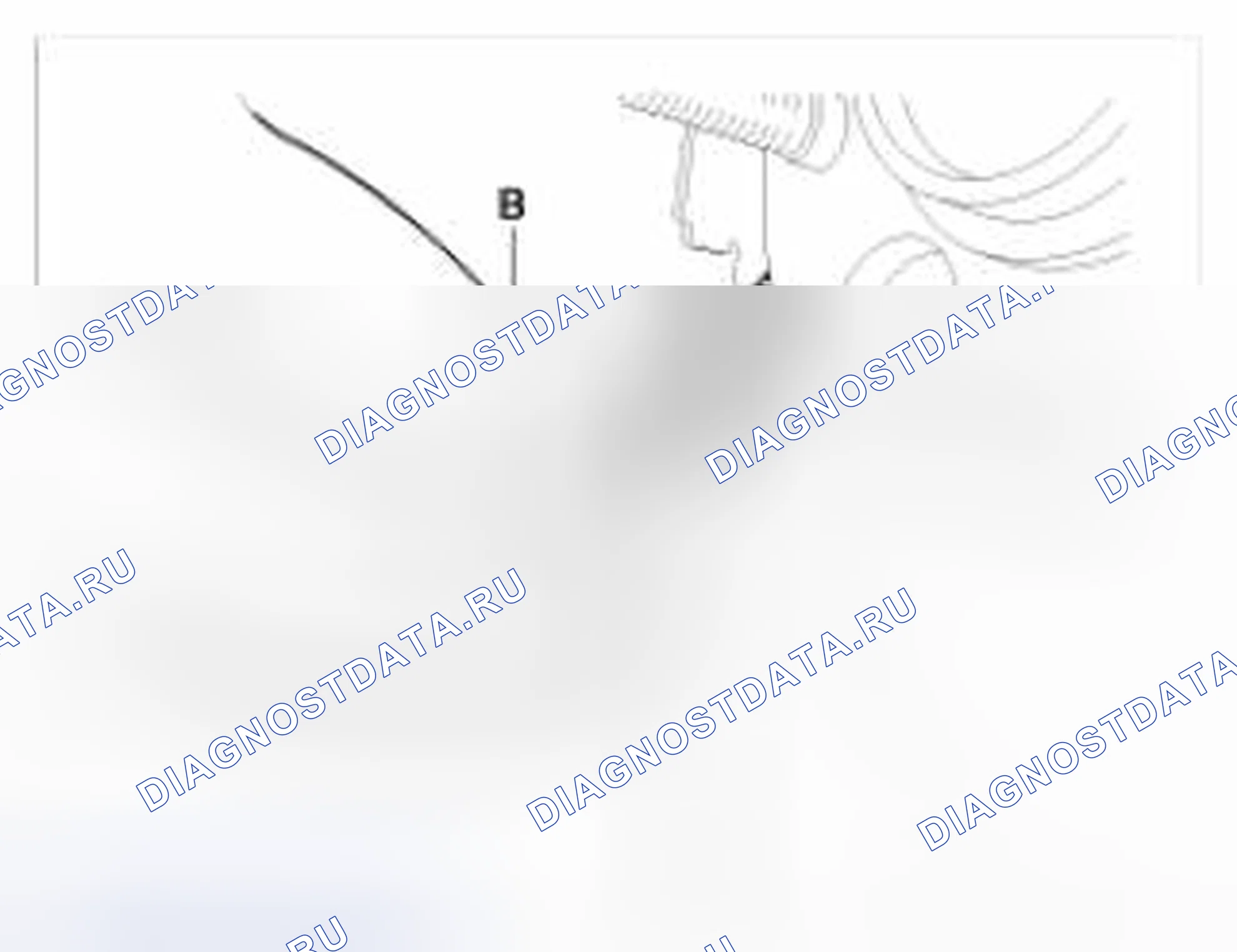 Рис. 115. BMW 6 серия F06/F13/F12