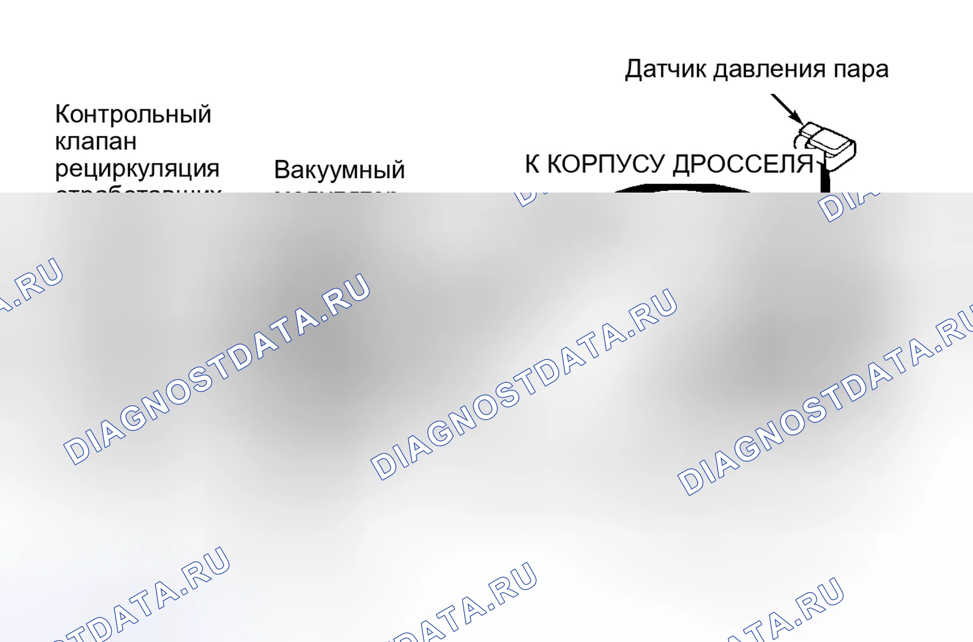 Рис. 209. Toyota Camry XV20
