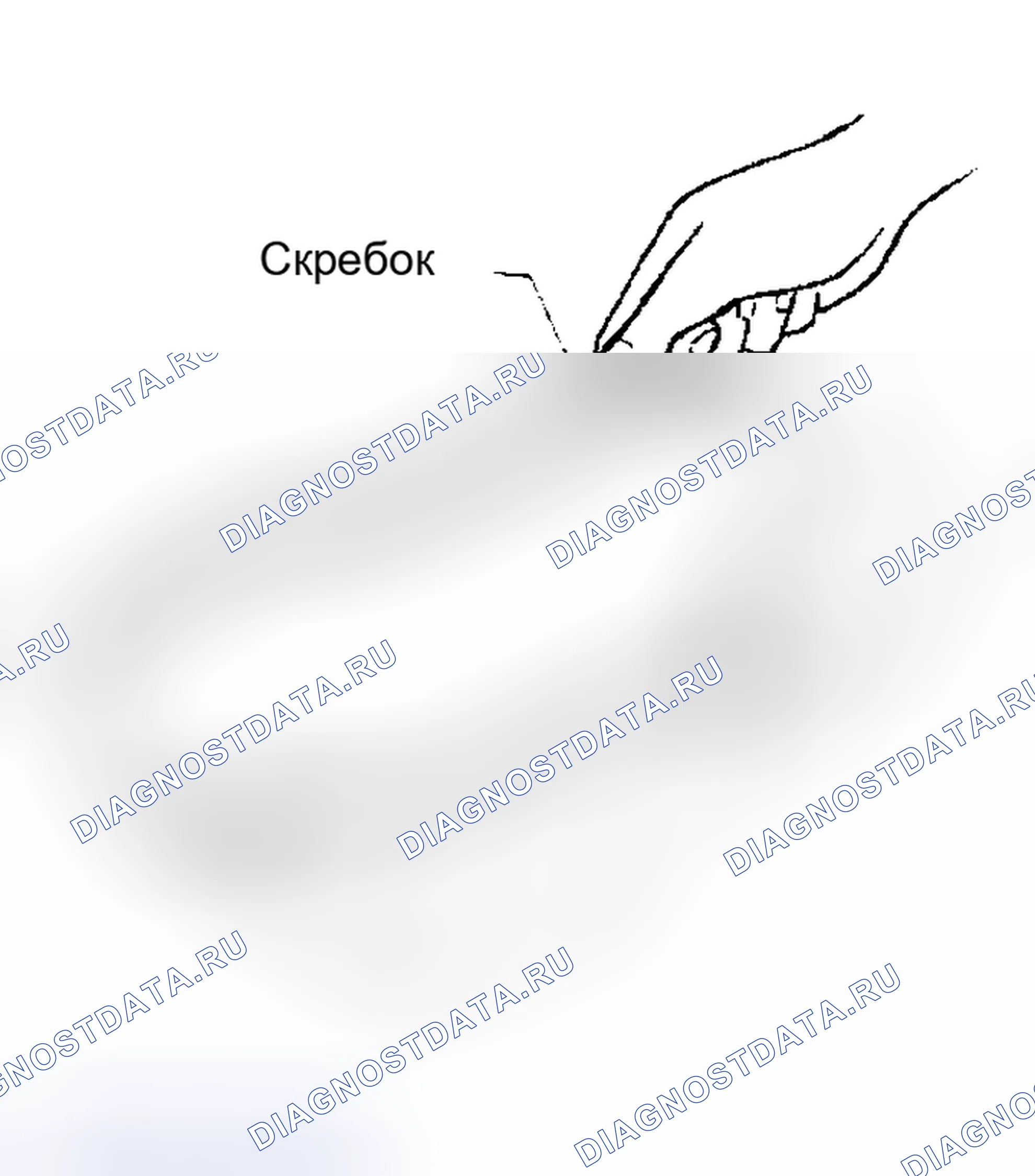 Рис. 248: Установка. Honda Odyssey (North America) I