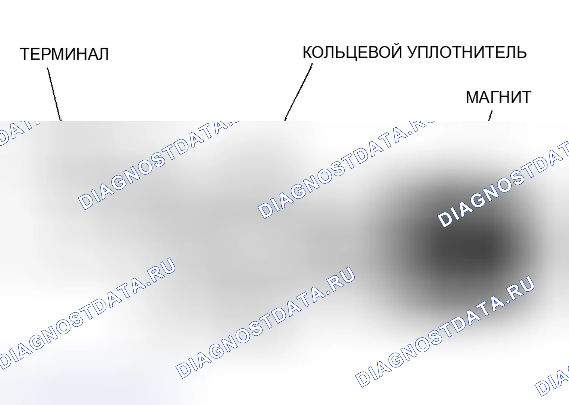 Рис. 27: Датчик положения коленчатого вала (Ckp). Honda CR-V II рестайлинг
