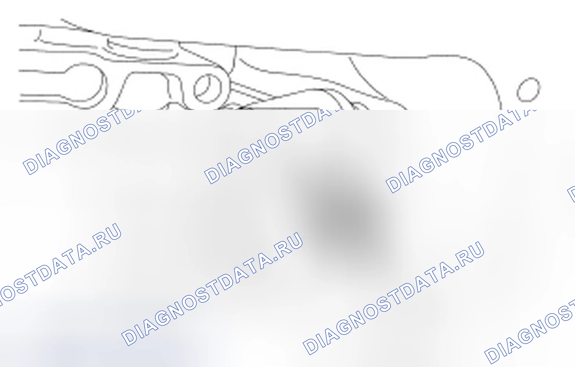 Рис. 100. Ford Focus II