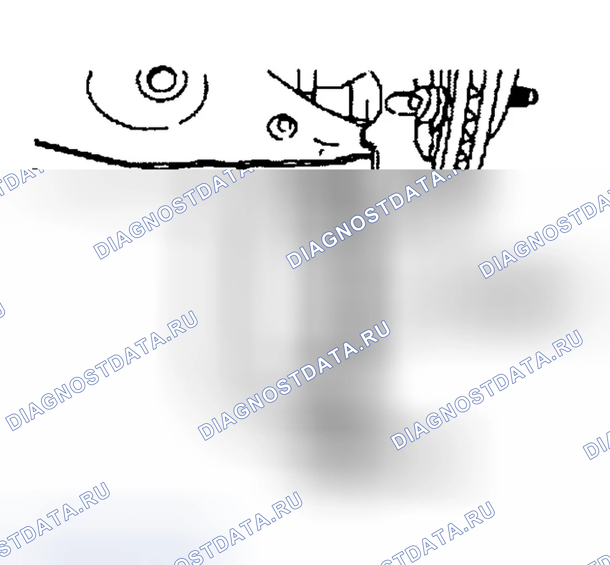 Рис. 3. Ford Ranger I