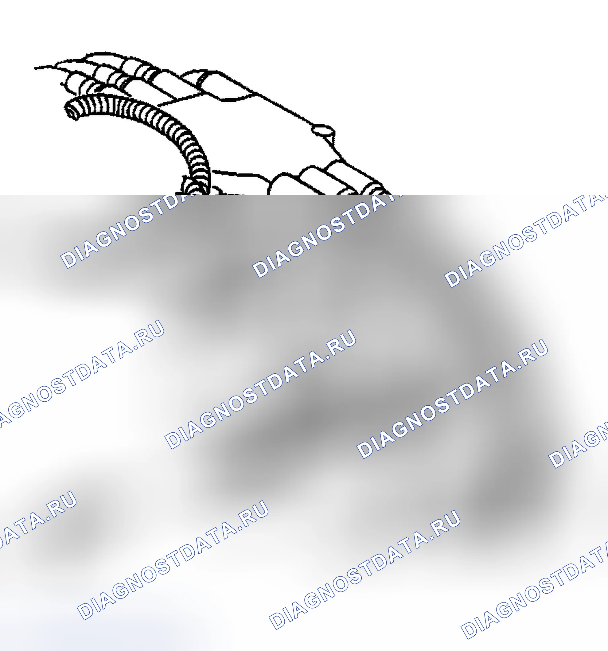 Рис. 247. Chevrolet Chevy Express H2500 