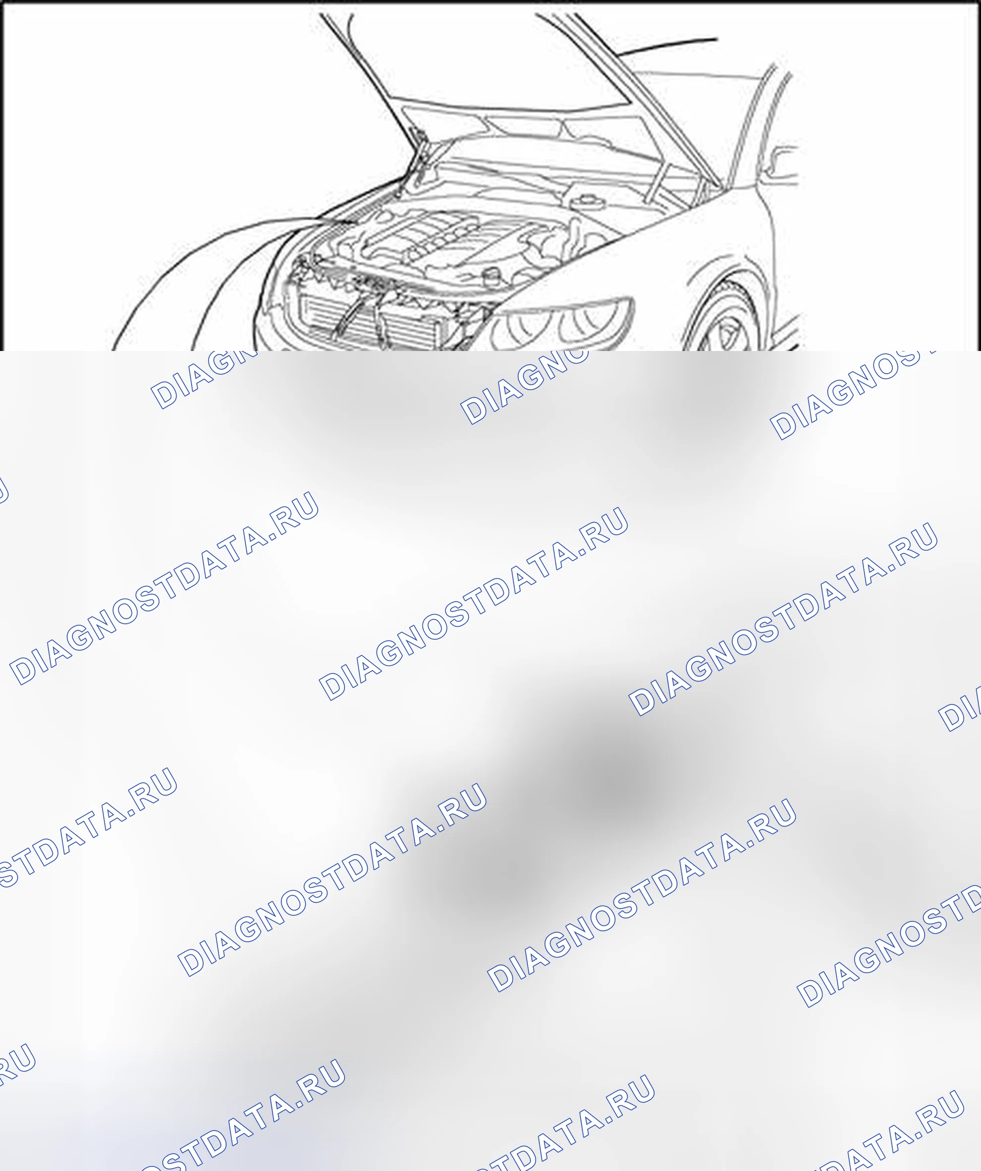 Рис. 59: Идентификационные данные транспортного средства. Volkswagen Phaeton I
