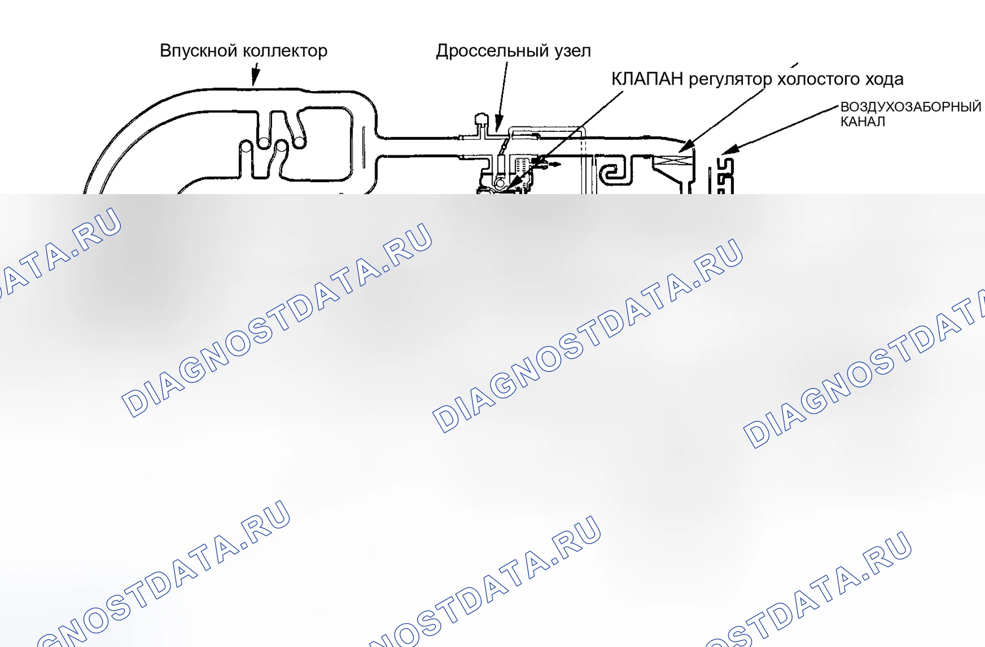 Рис. 213: Схема системы забора воздуха. Honda Accord VI