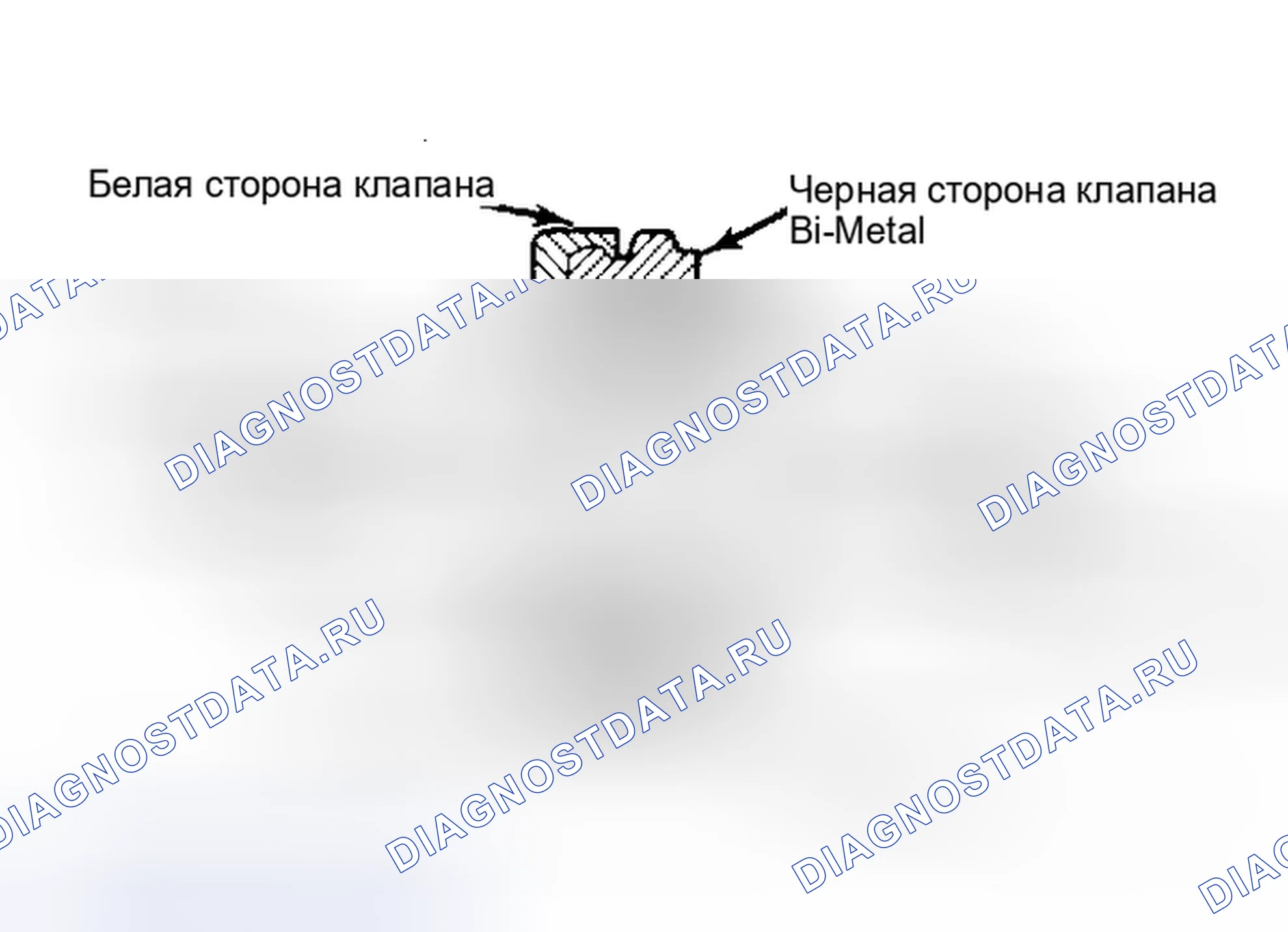 Рис. 40: ТЕПЛОВОЙ ВЫПУСКНОЙ КЛАПАН ТОПЛИВНОЙ ЕМКОСТИ. Ford Mustang III рестайлинг
