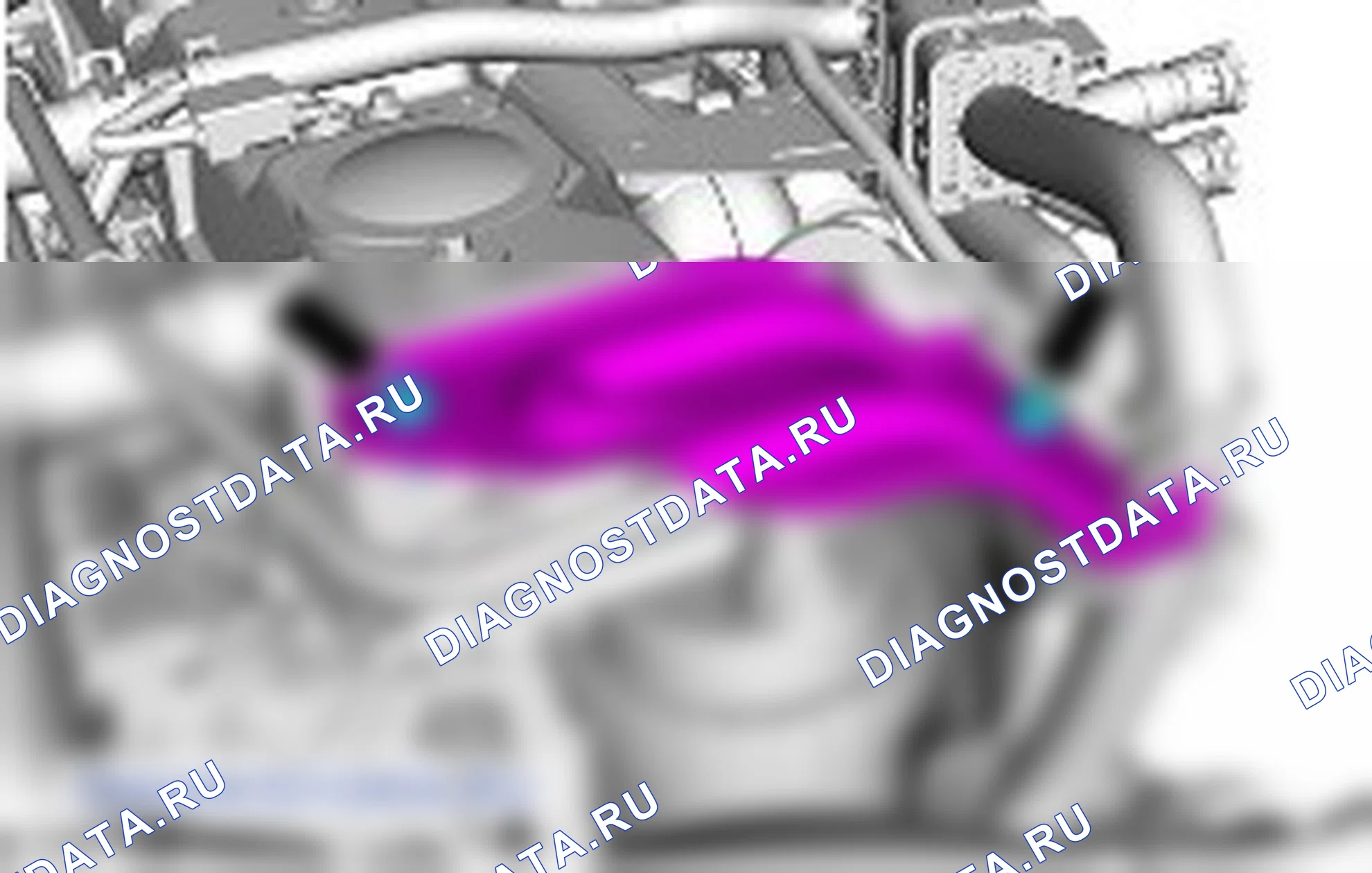 Топливный насос: описание и работа. Ford Mondeo IV рестайлинг