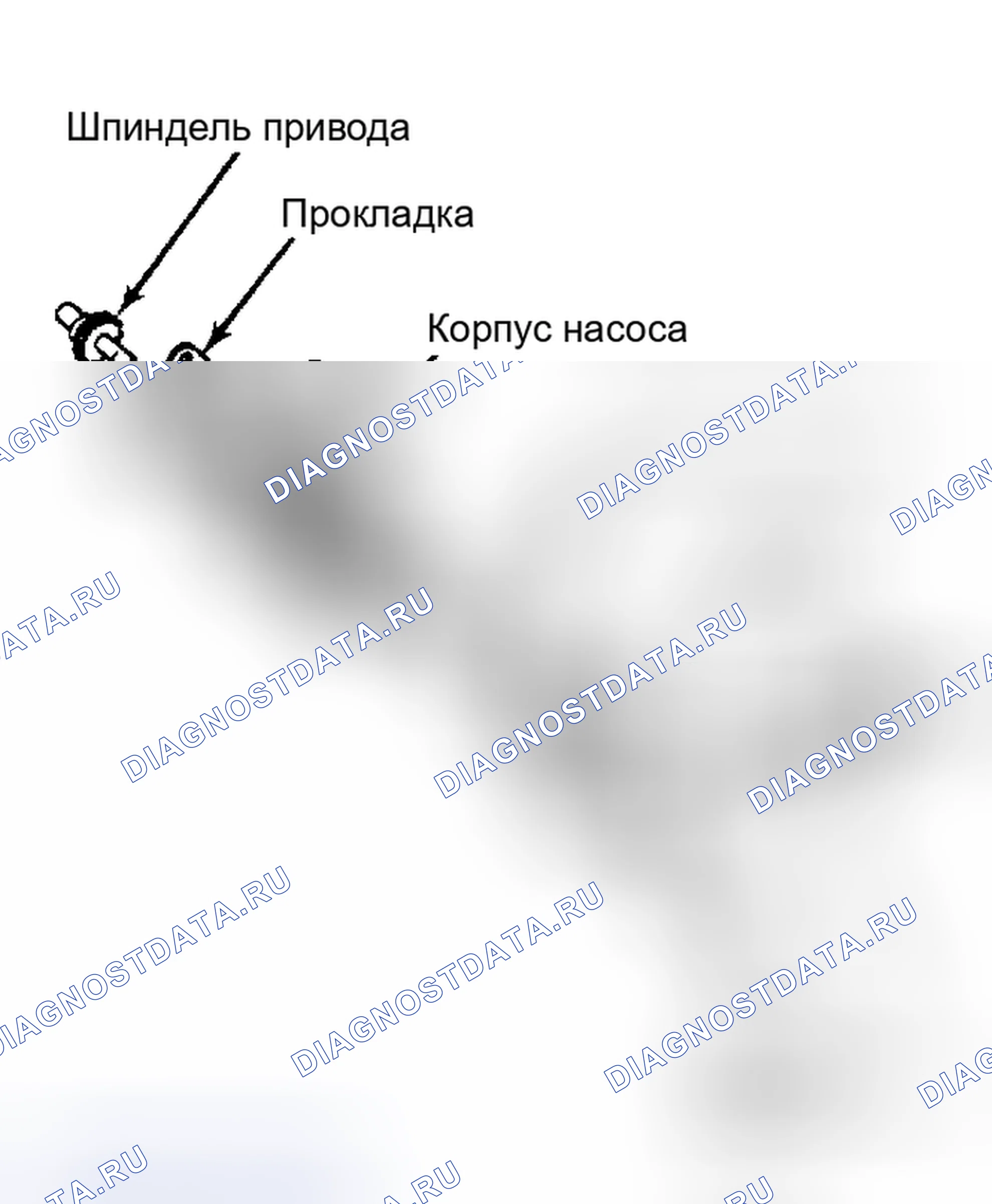 Рис. 11: Разнесенный вид узла масляного насоса. Nissan Maxima G910