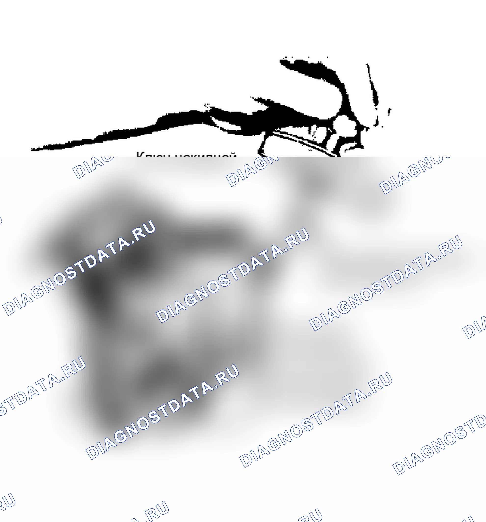 Рис. 2. Jeep Wrangler I