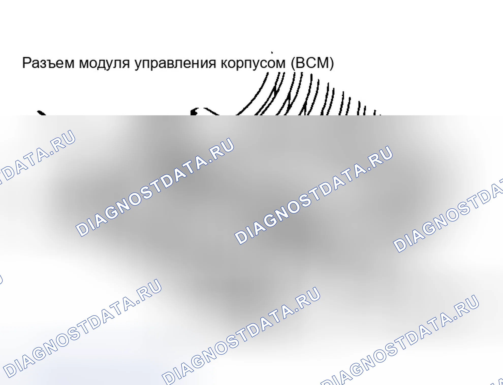 Рис. 1: Идентификация разъемов BCM (Bone или Gray). Dodge Intrepid I
