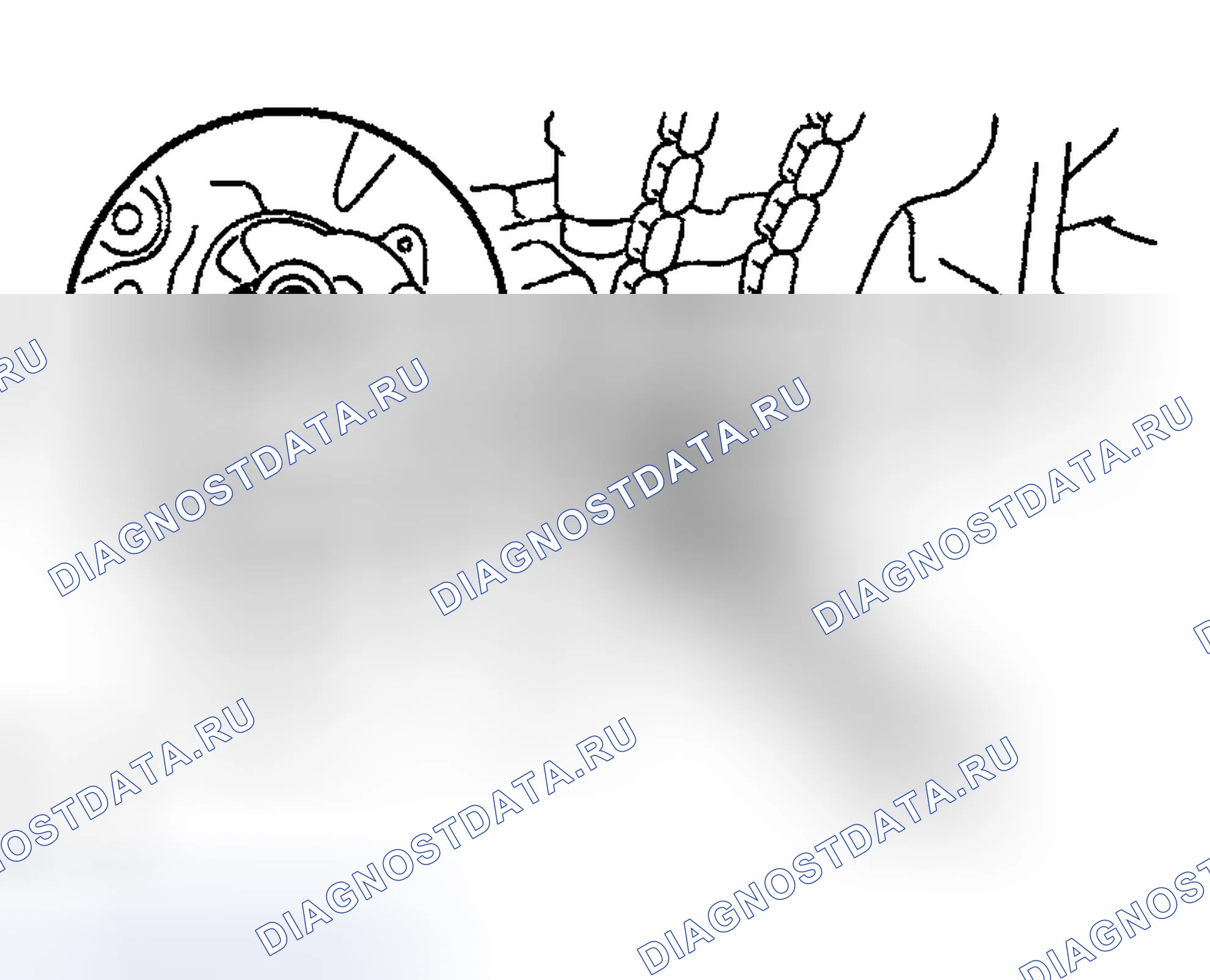 Рис. 419. Toyota Highlander I