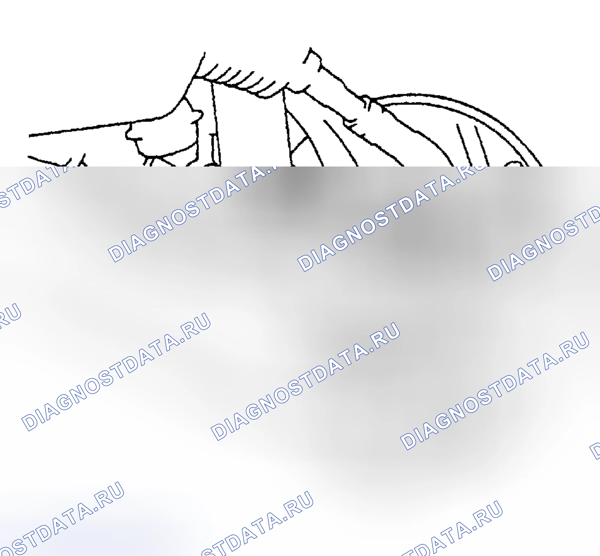 Рис. 6. Honda Accord XI